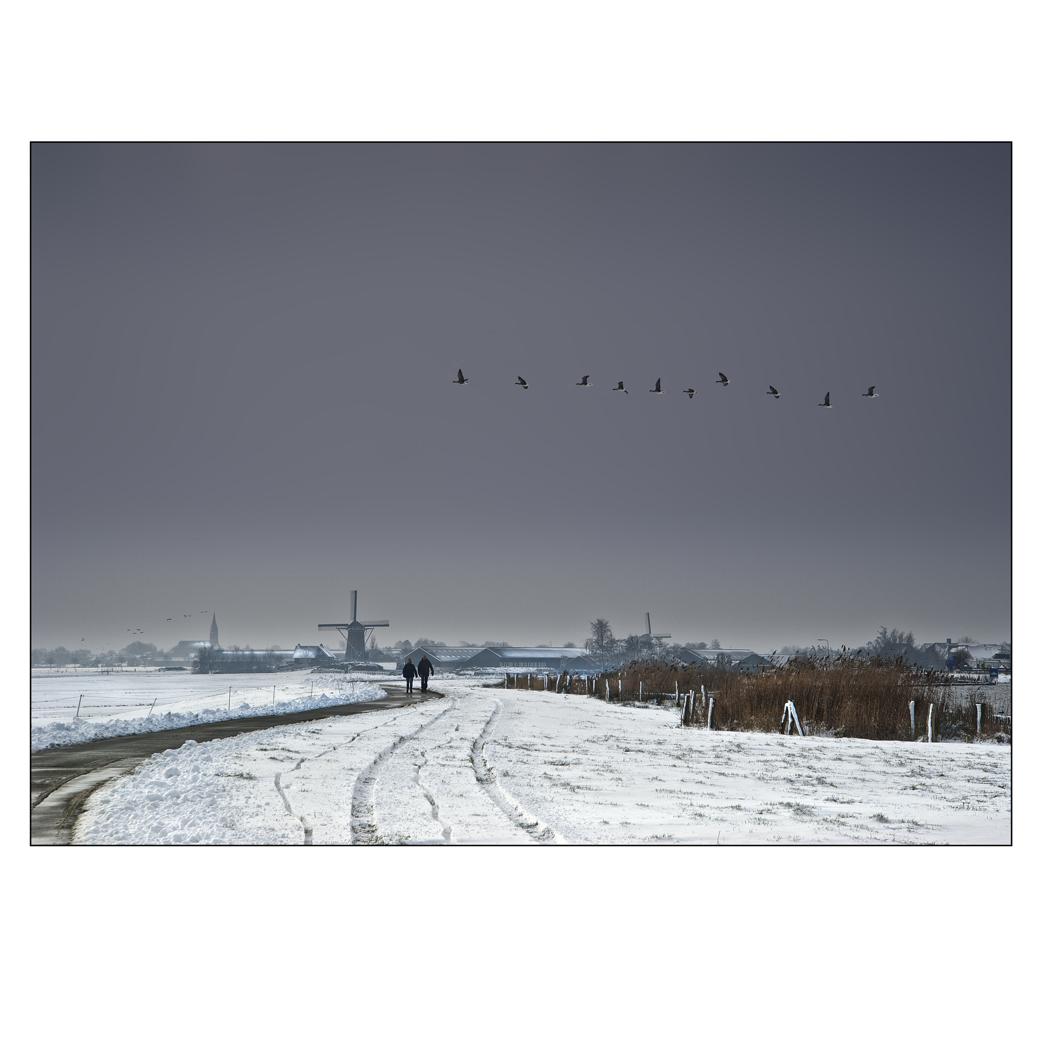 Nikon D700 sample photo. Dutch winter impressions photography