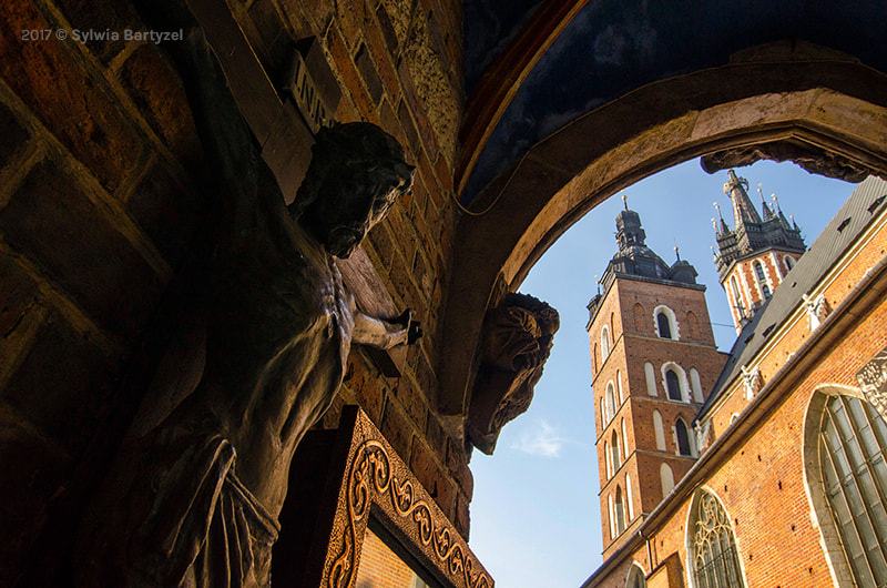 Nikon D7000 sample photo. Kościół mariacki, kraków photography