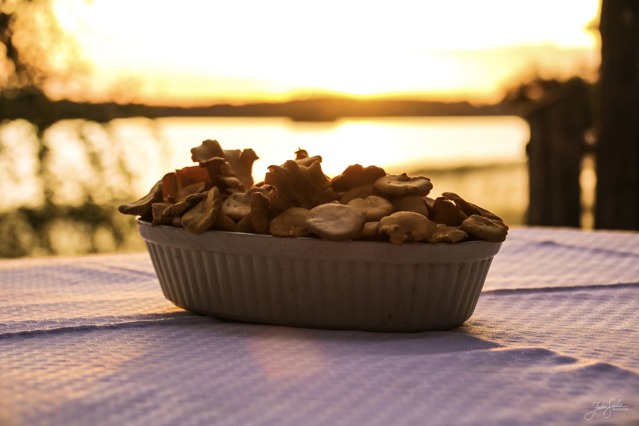 Canon EOS 760D (EOS Rebel T6s / EOS 8000D) + Canon EF 75-300mm F4.0-5.6 IS USM sample photo. Fresh girolles in a bowl. photography