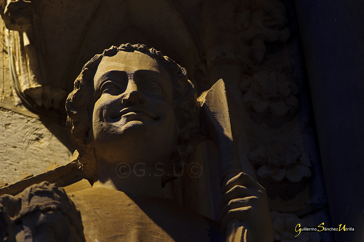 Sony DT 55-200mm F4-5.6 SAM sample photo. Sonrisa photography