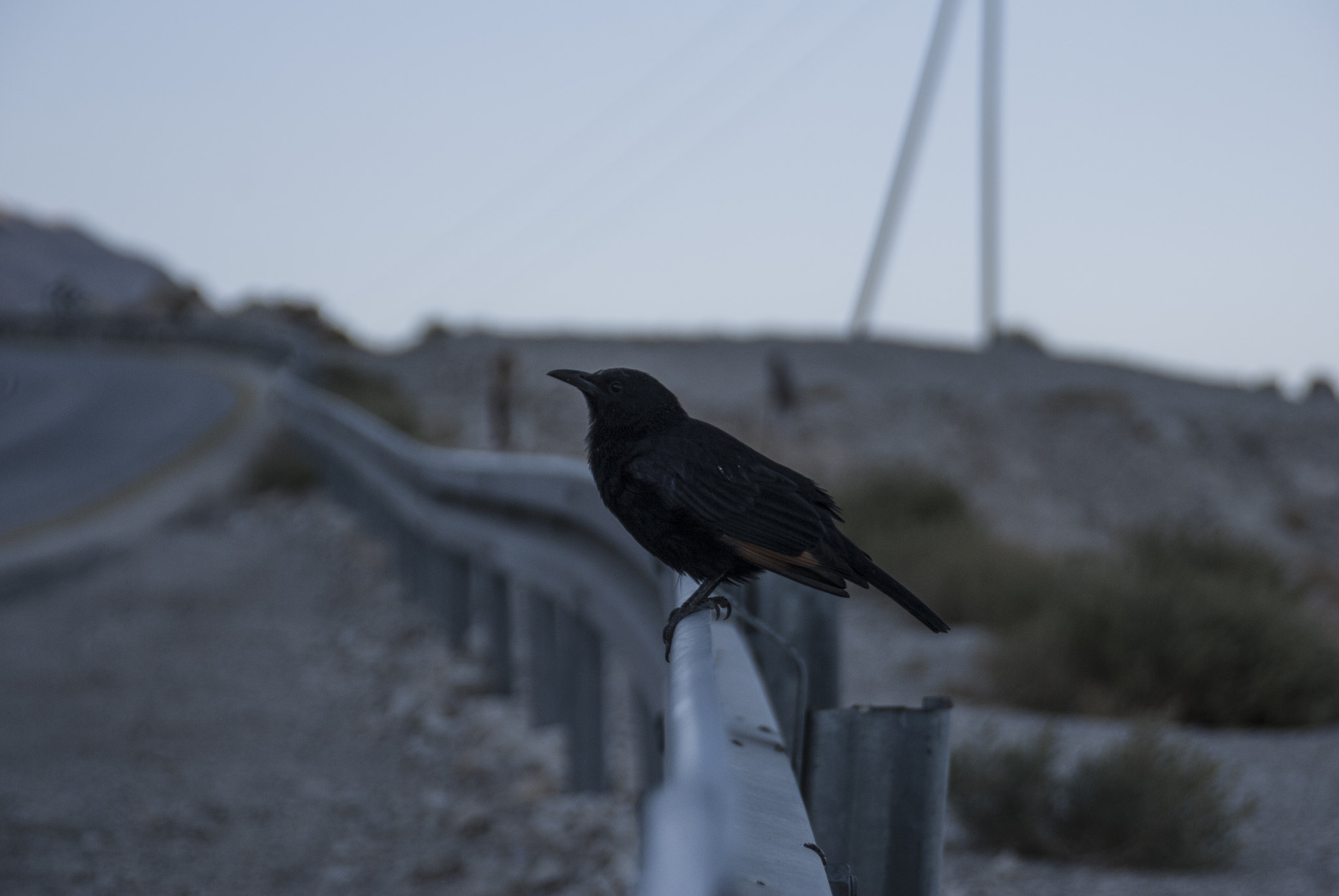 Nikon D60 sample photo. Israel trip 2016 photography