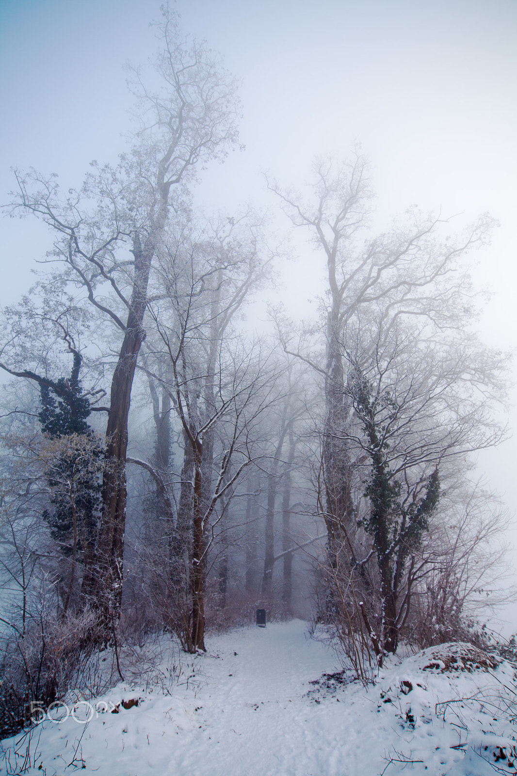 Tokina AT-X Pro 12-24mm F4 (IF) DX sample photo. Foggy morning photography