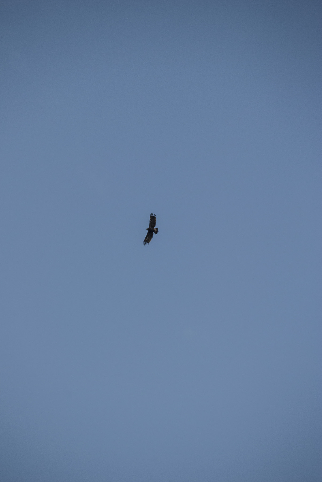 Nikon D60 sample photo. Israel trip 2016 photography