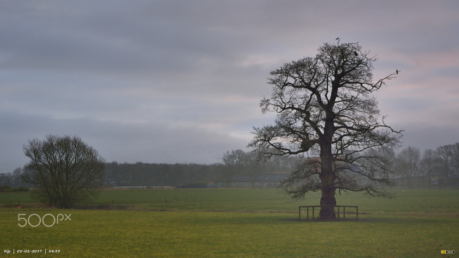 Nikon D7100 sample photo. Frisian landscape near rijs early mornings photography