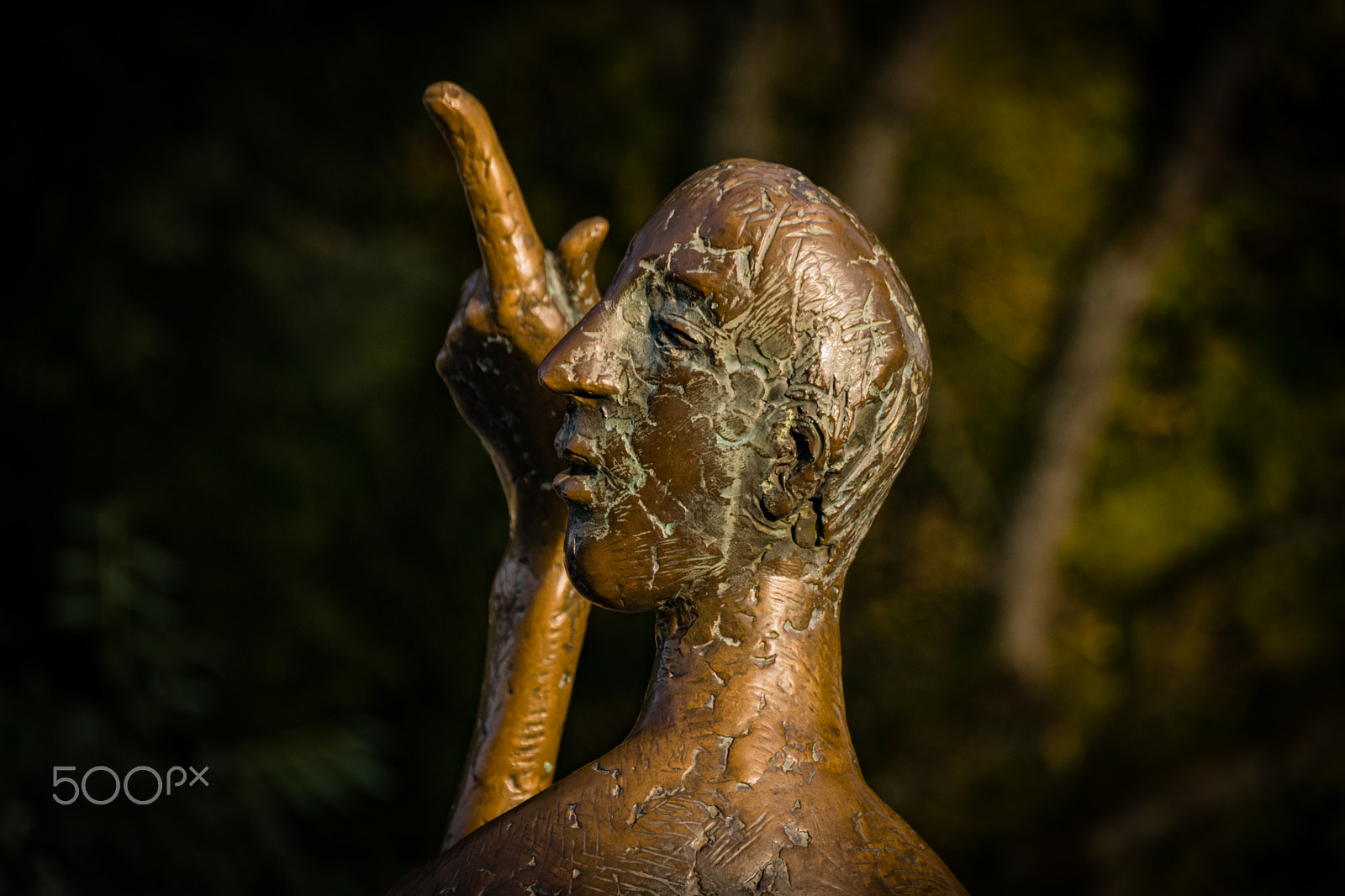 Sigma 18-250mm F3.5-6.3 DC Macro OS HSM sample photo. Fine arts.. photography