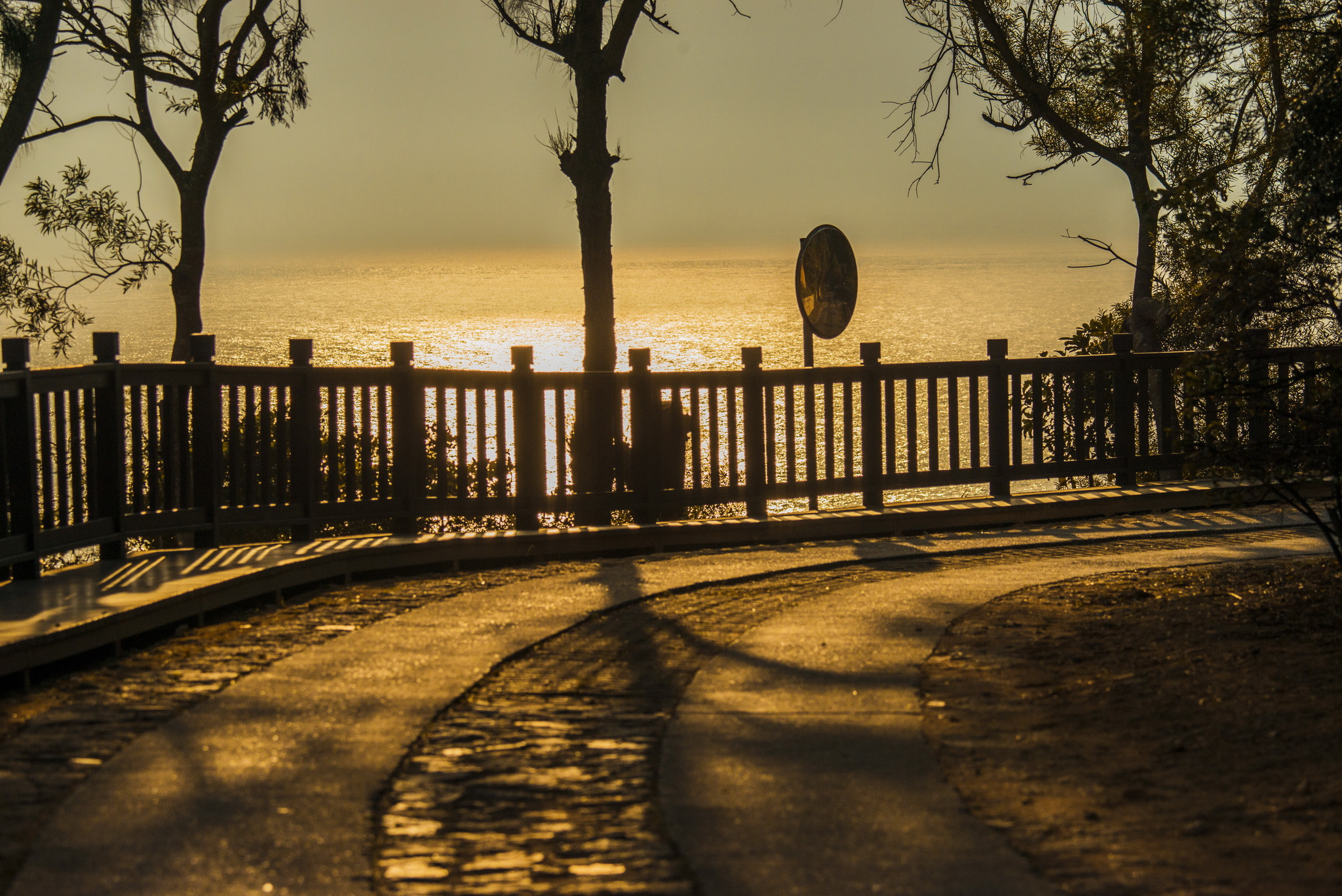 Nikon D800E sample photo. The golden road photography