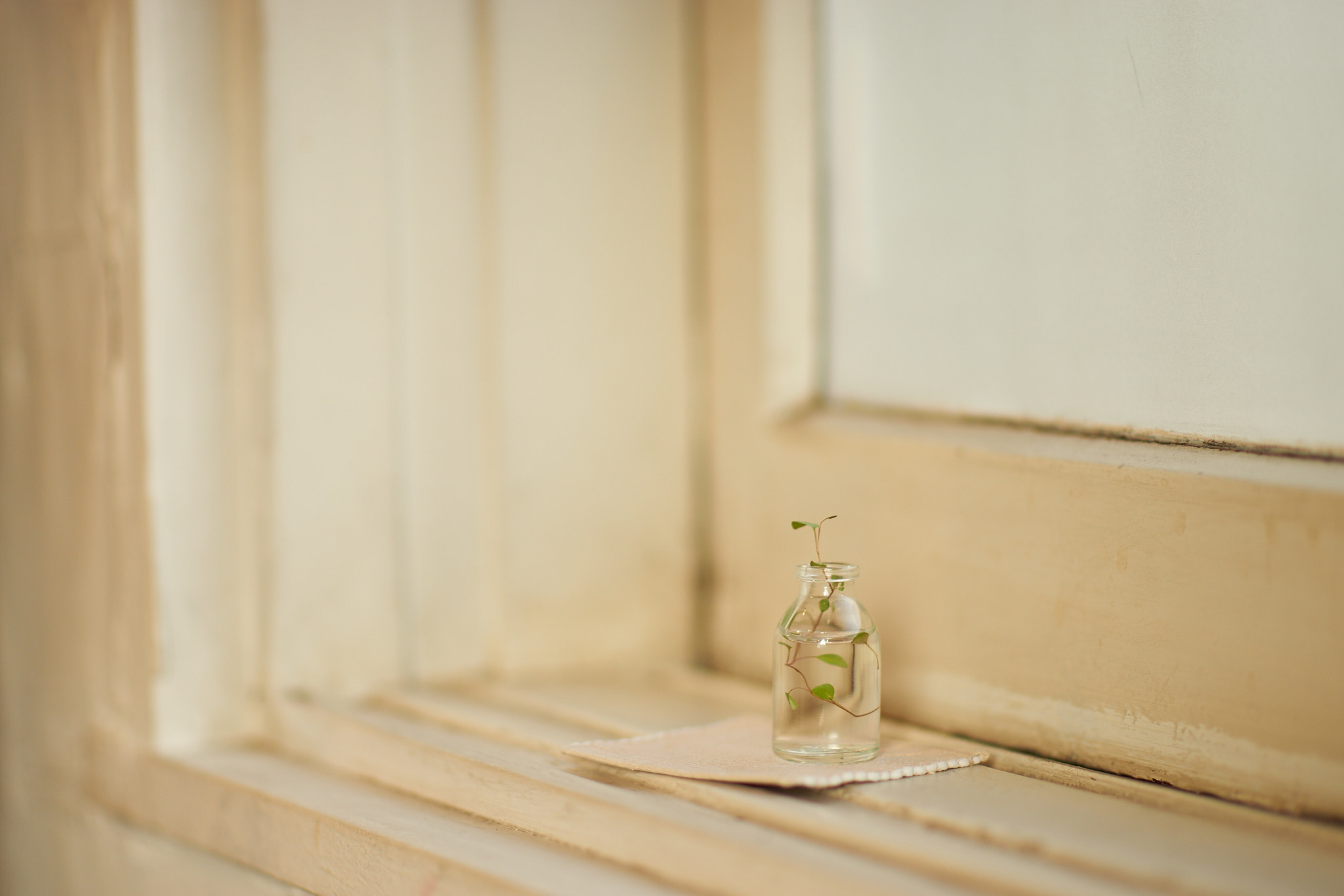 Sony Planar T* 85mm F1.4 ZA sample photo