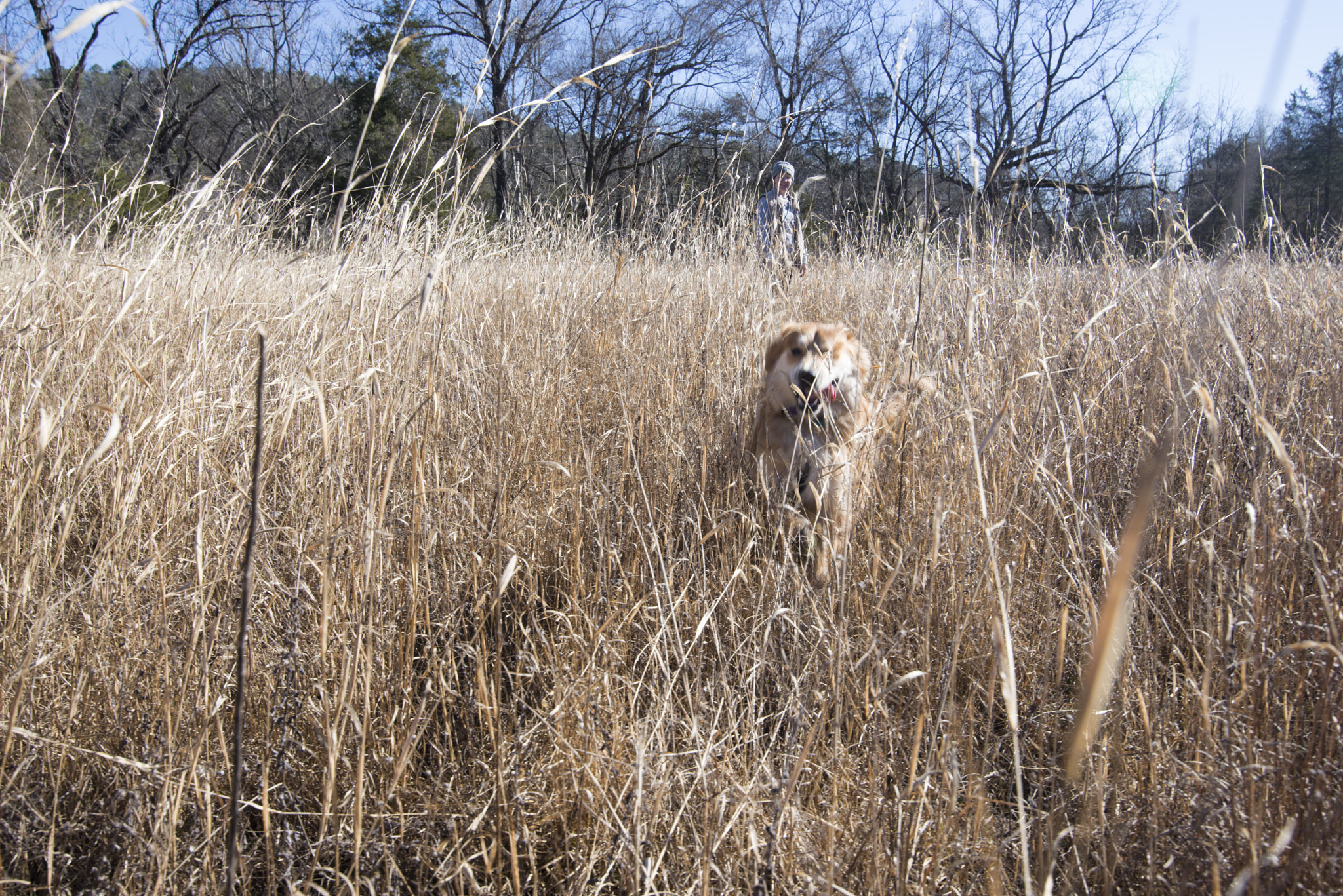 Tokina AT-X 16-28mm F2.8 Pro FX sample photo. Tongue in the wind photography