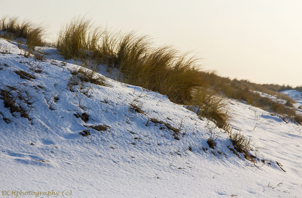 Canon EOS 650D (EOS Rebel T4i / EOS Kiss X6i) + Sigma 18-200mm f/3.5-6.3 DC OS sample photo. Snow on the dunes photography