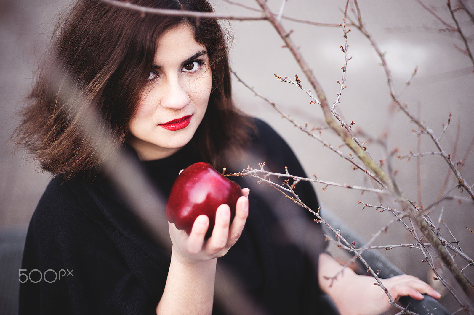 Sony a7 II + Canon EF 50mm F1.8 II sample photo. Modern snowwhite photography