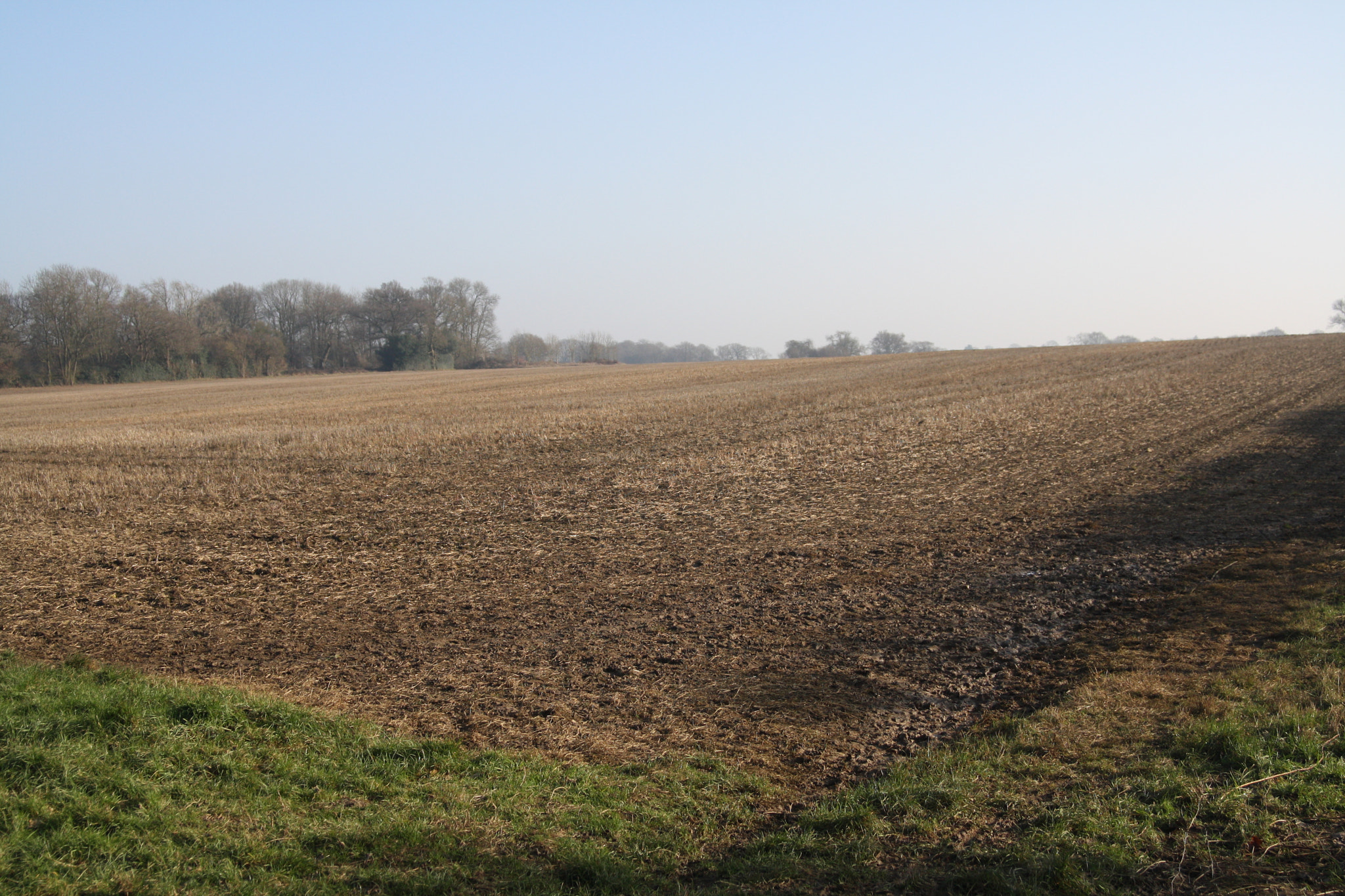 Canon EF 28-70mm f/3.5-4.5 sample photo. Waiting field photography