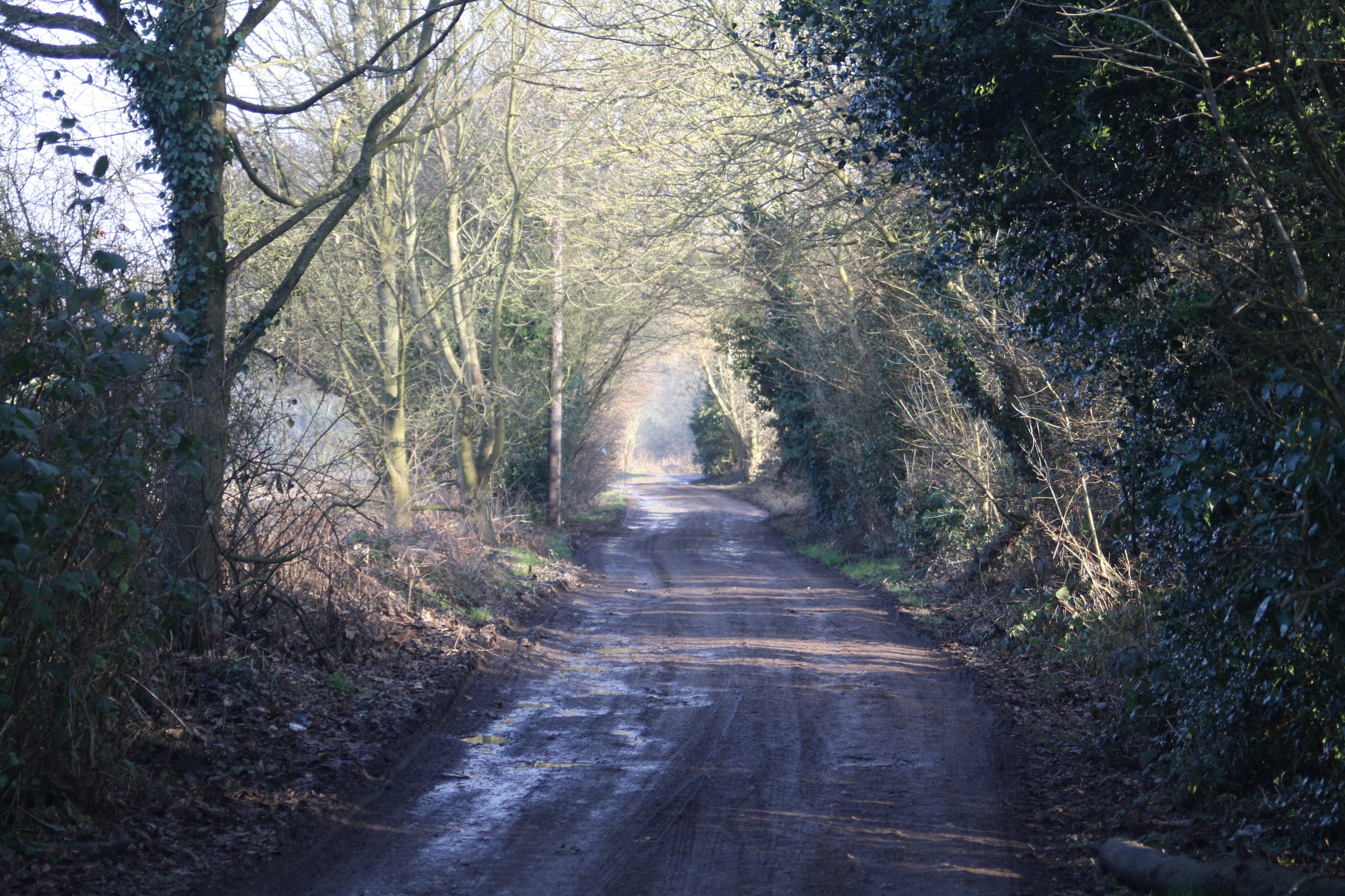 Canon EF 28-70mm f/3.5-4.5 sample photo. Lead the way photography