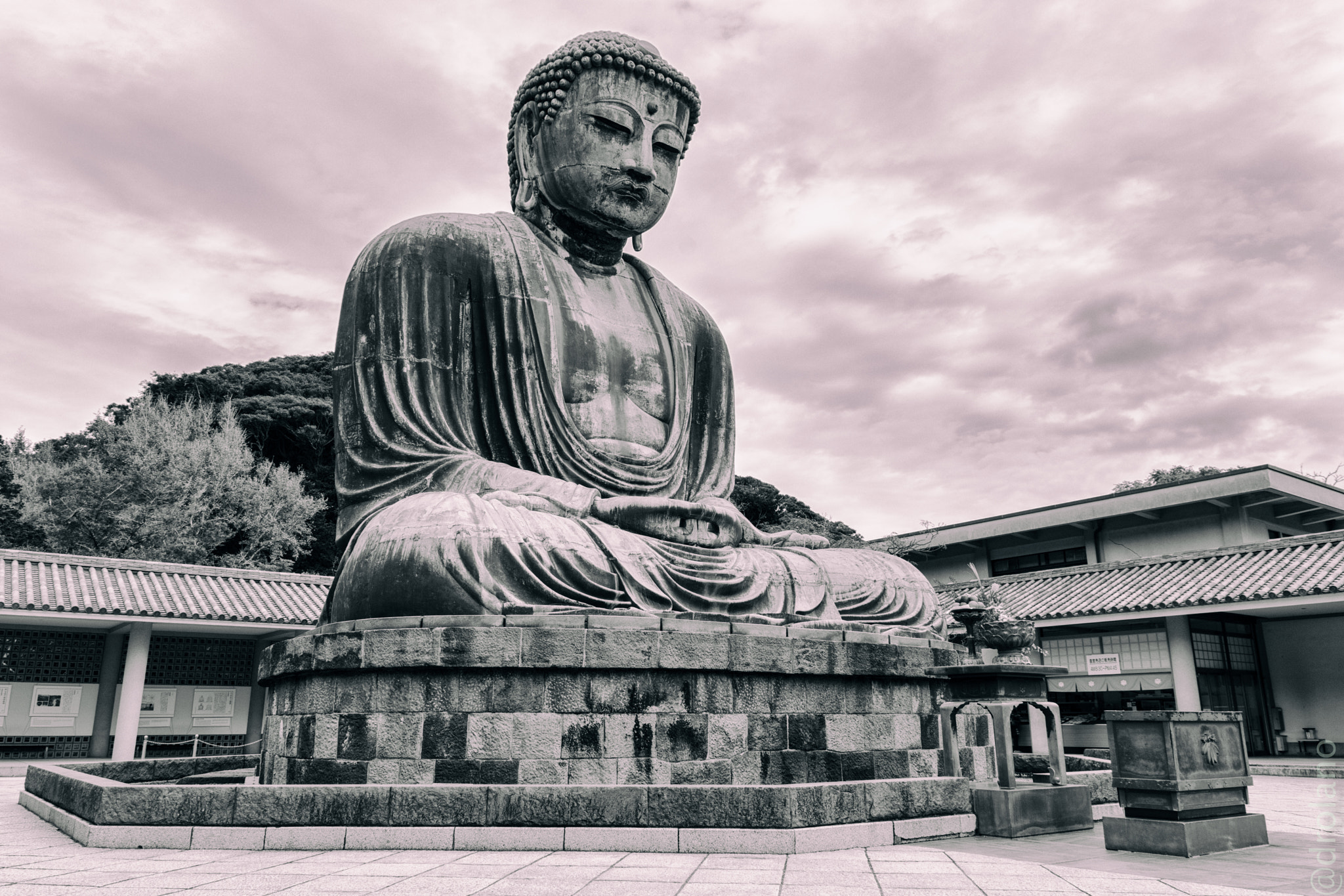 Sigma 17-70mm F2.8-4 DC Macro OS HSM | C sample photo. Daibutsu photography