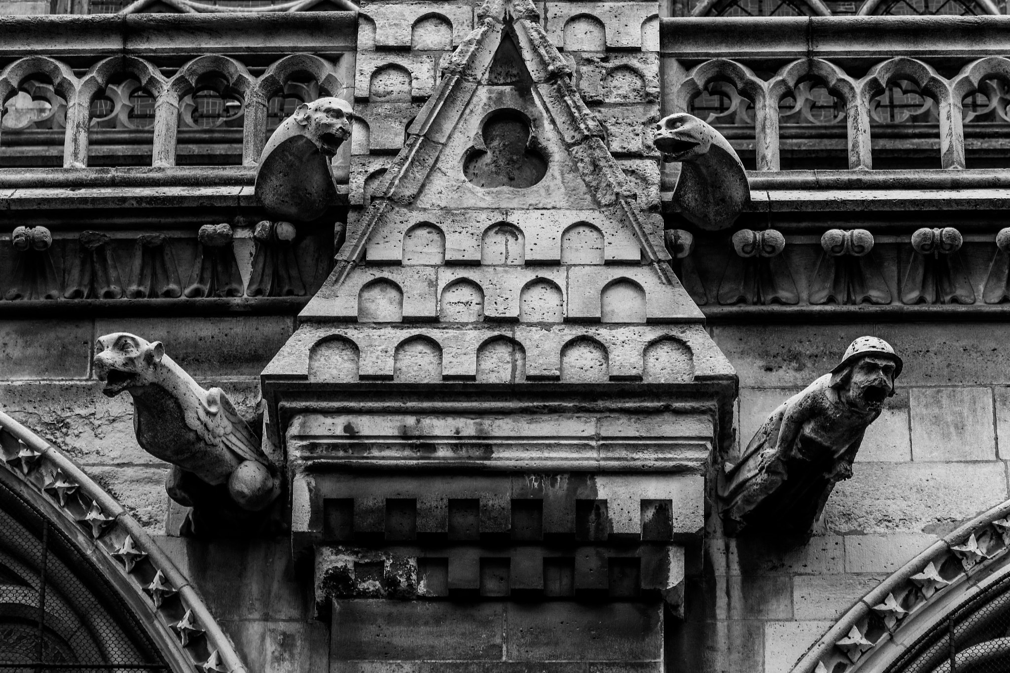 Canon EOS 70D + EF75-300mm f/4-5.6 sample photo. Catedral de notre dame photography