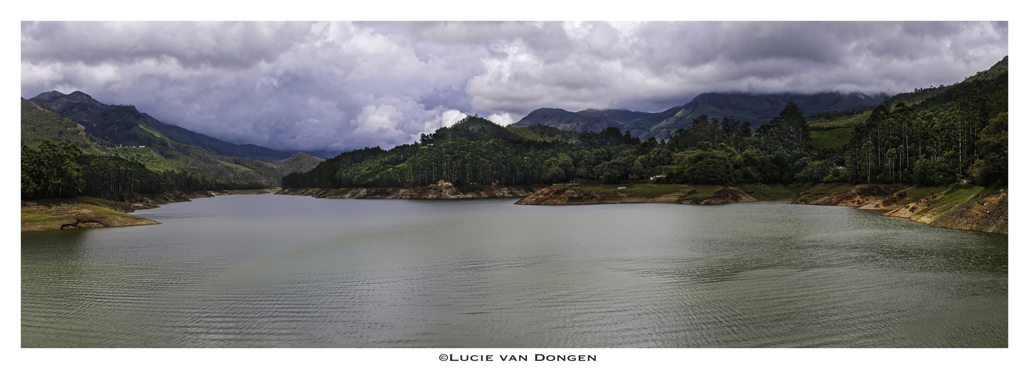 Nikon D300S sample photo. South india munnar photography