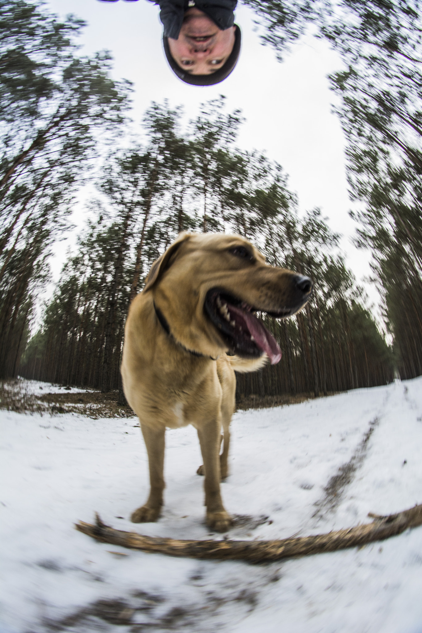 Nikon D7100 + Samyang 8mm F3.5 Aspherical IF MC Fisheye sample photo. A different perspective photography