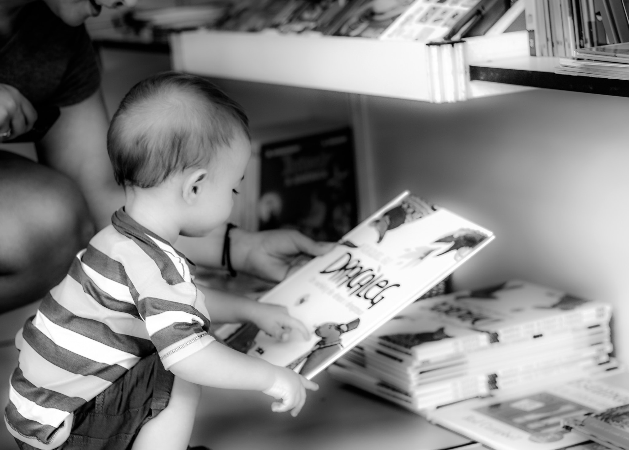 Canon EF 50mm f/1.8 sample photo. El meu llibre / my book photography