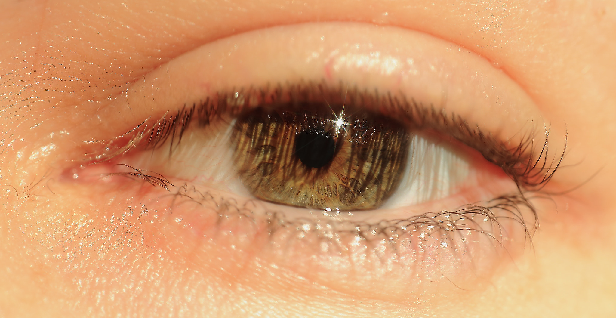 Canon 50mm sample photo. Eye photography