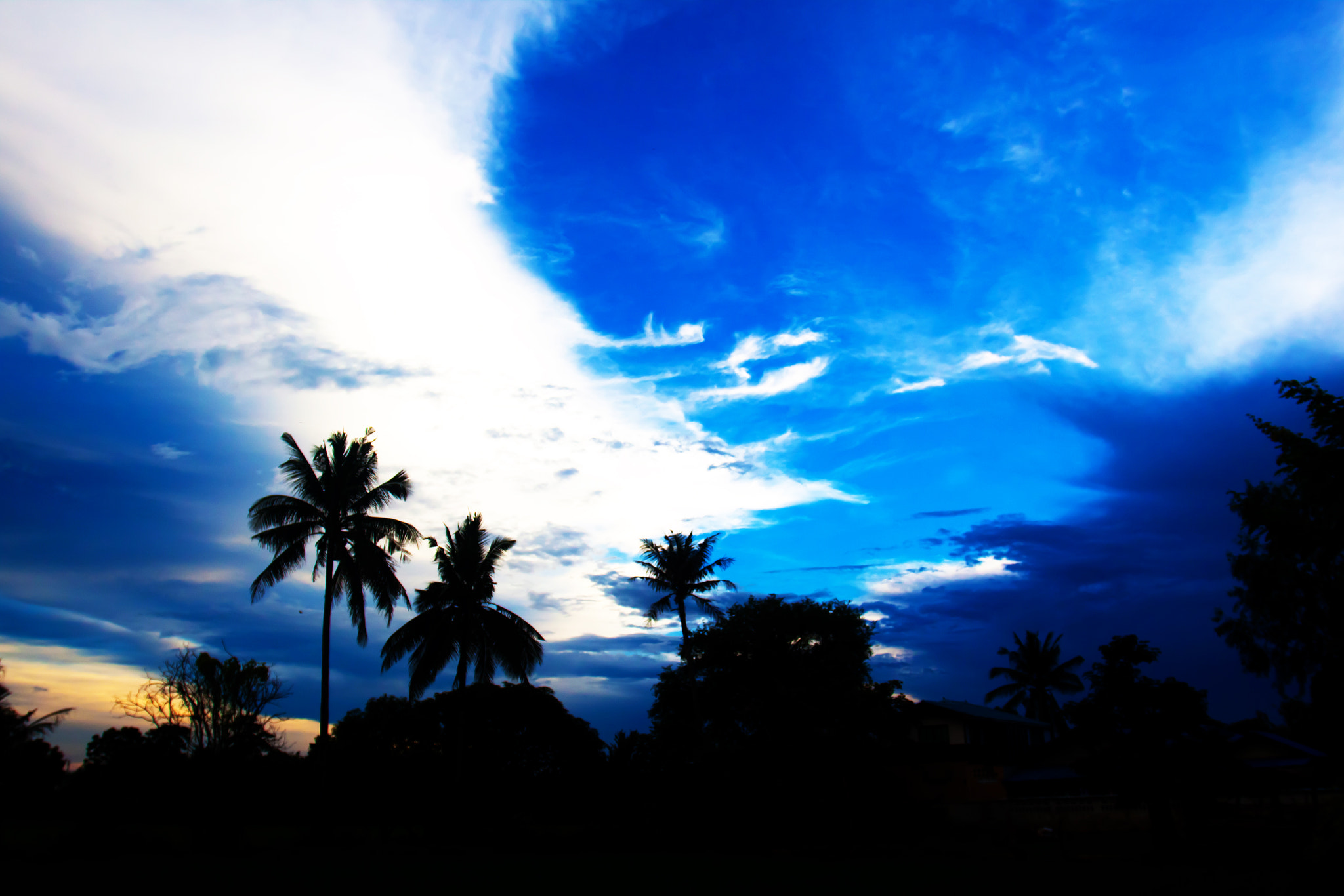 Canon EOS 50D + Canon EF 17-40mm F4L USM sample photo. Nice palm trees in the blue sky. coconut palm trees photography