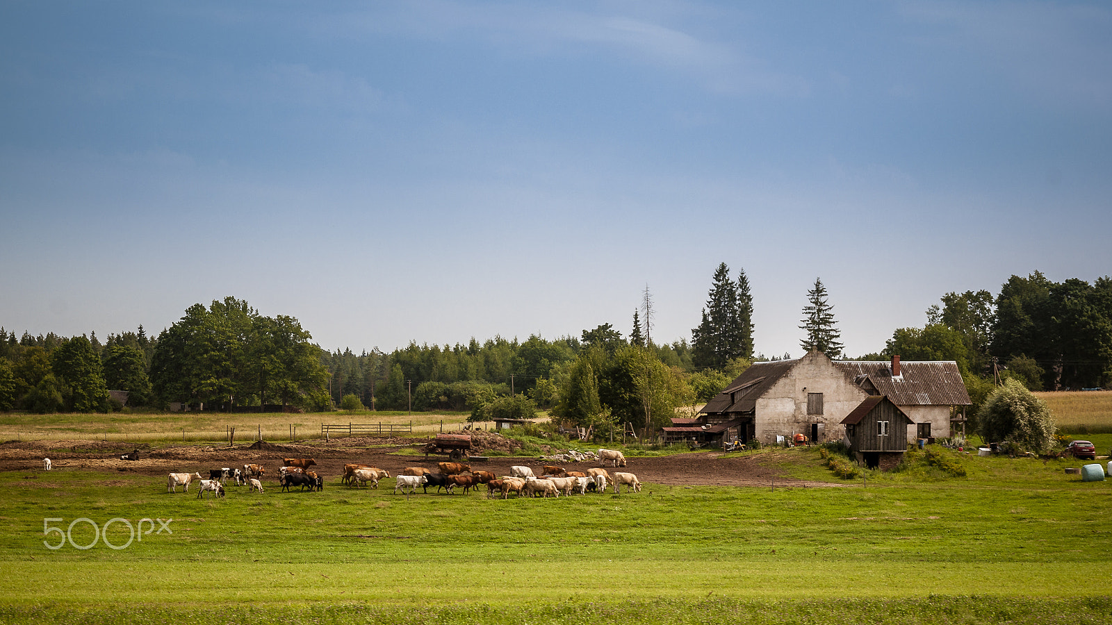 Sigma 17-70mm F2.8-4 DC Macro OS HSM sample photo. Latvia countryside photography