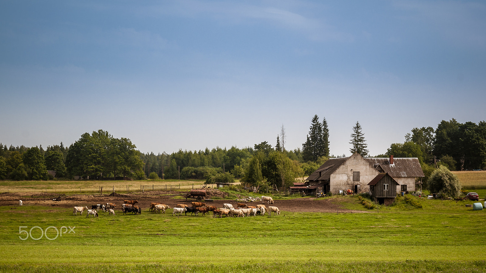 Nikon D5000 + Sigma 17-70mm F2.8-4 DC Macro OS HSM sample photo. Latvia countryside photography