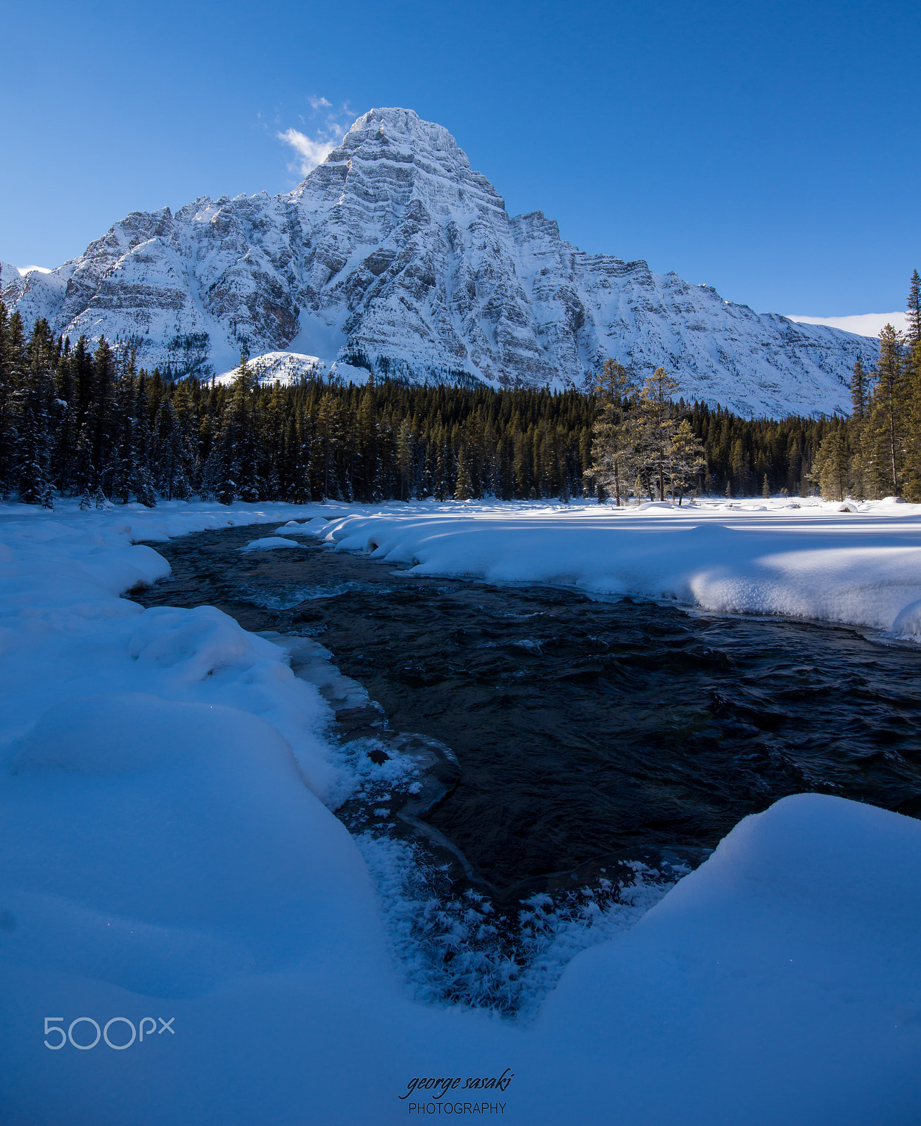 Sigma AF 10-20mm F4-5.6 EX DC sample photo. Sunny day blues photography