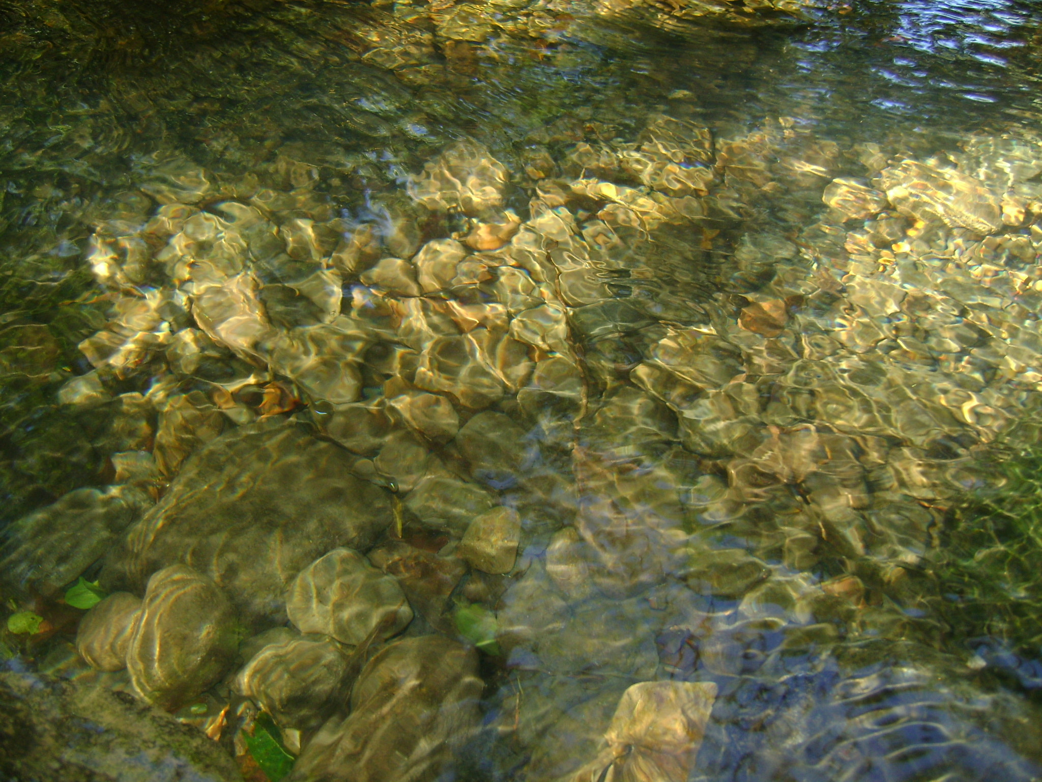 Sony Cyber-shot DSC-S750 sample photo
