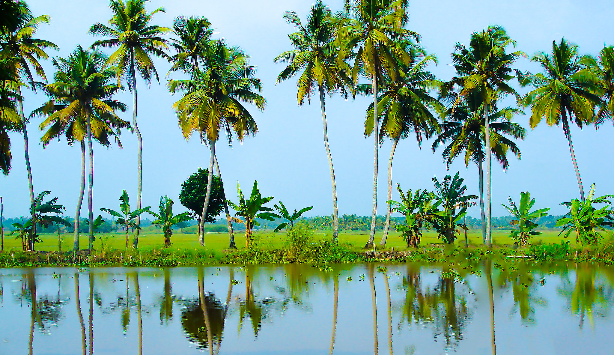Sony DSC-H1 sample photo. Kerala, india photography