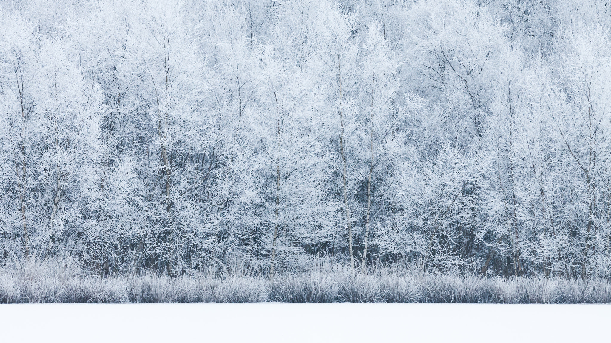 Canon EOS 50D sample photo. Cold photography
