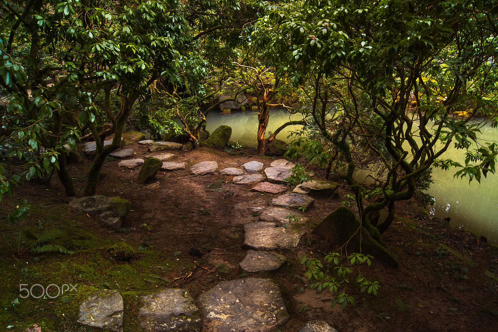 Sony SLT-A77 sample photo. Japanese gardens photography