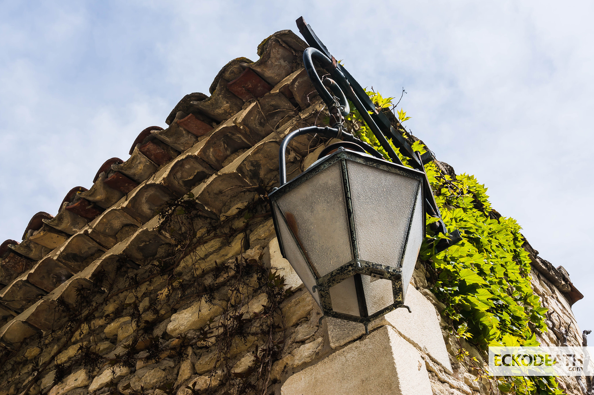 Sony Alpha NEX-5R sample photo. 2015 - projet 52 : #20 - angle vegetation photography
