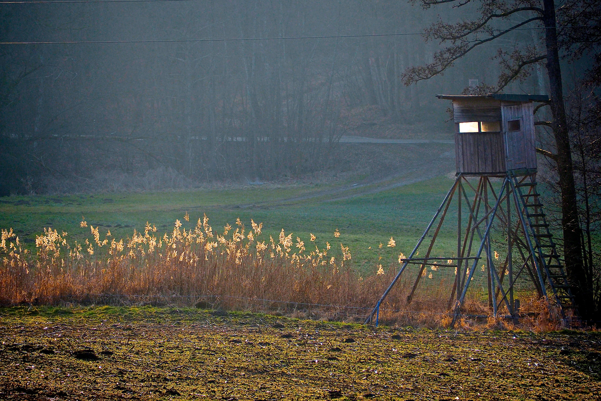 Olympus OM-D E-M5 II sample photo. Hunters throne...oh deer... photography