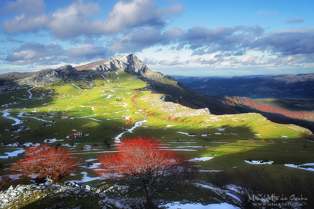 Sony Alpha NEX-3 + Sony E 16mm F2.8 sample photo. Arraba photography