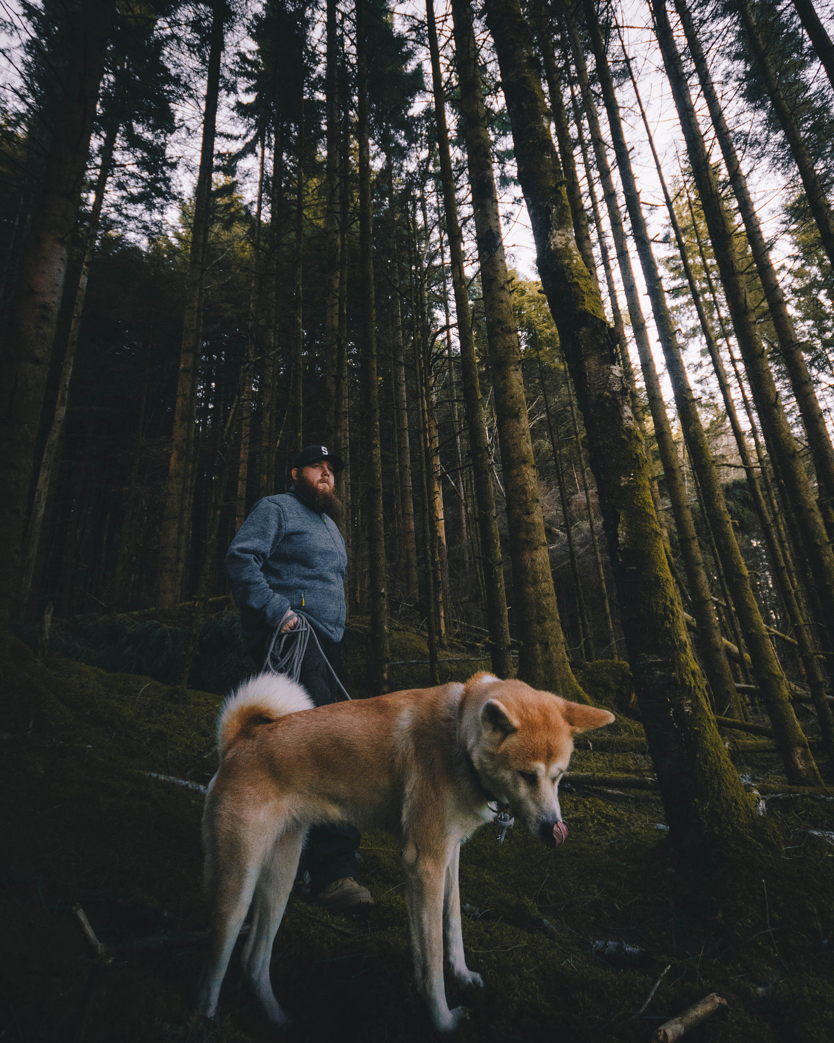 Canon EOS 600D (Rebel EOS T3i / EOS Kiss X5) + Sigma 10-20mm F4-5.6 EX DC HSM sample photo. Akita in the forrest photography