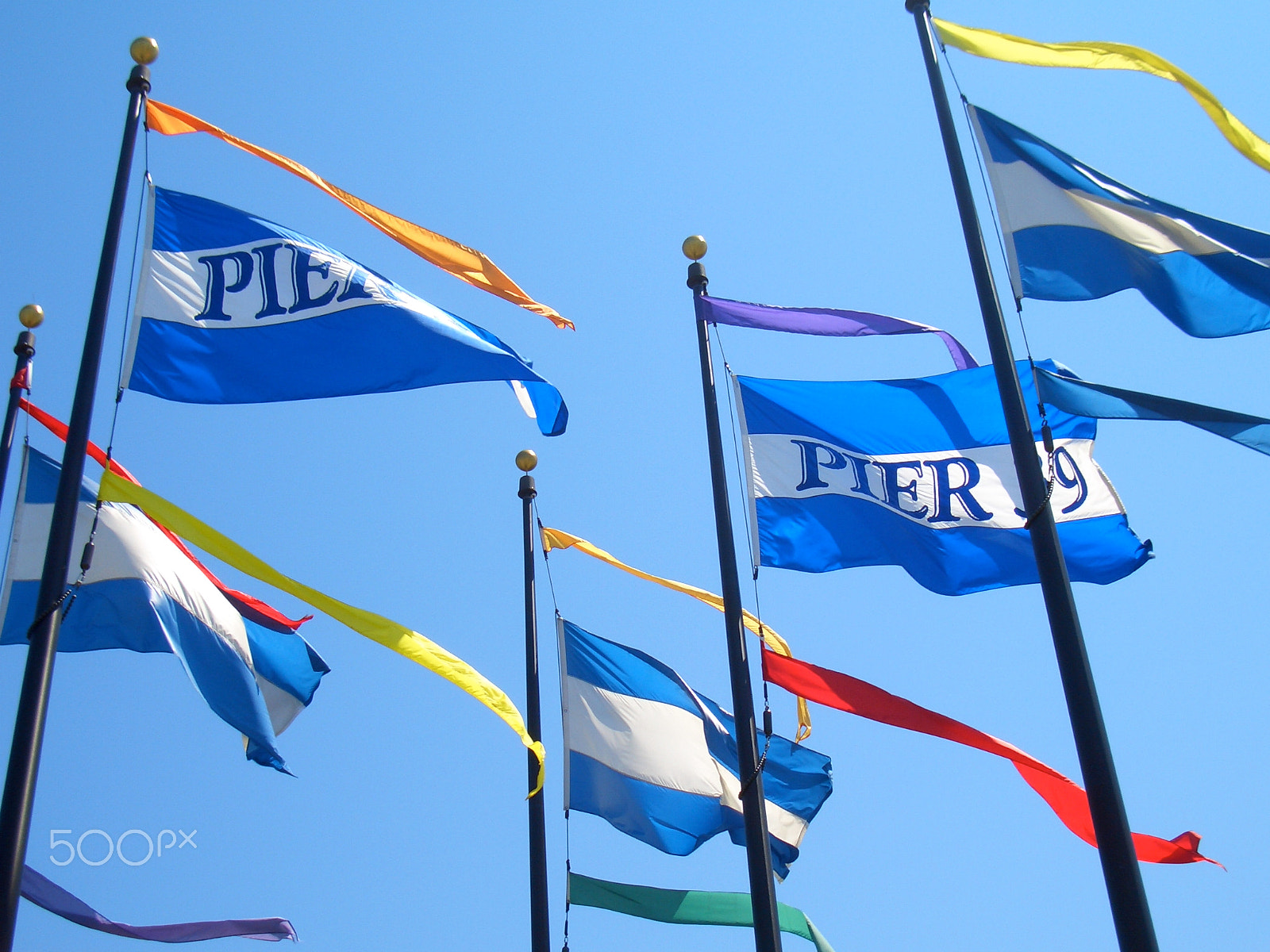 CASIO EX-Z55 sample photo. Flags of pier 39 photography