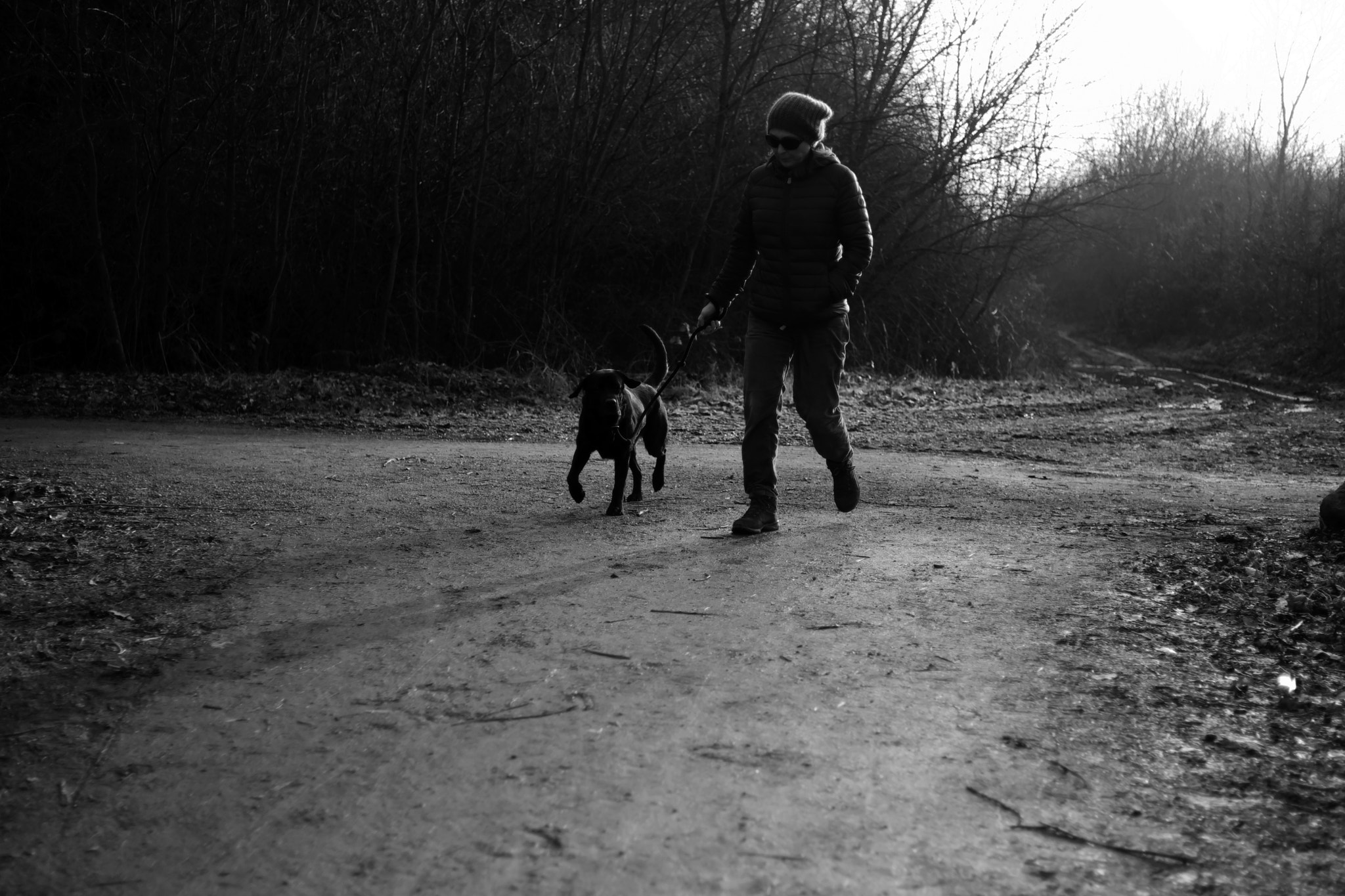 Fujifilm X-T2 sample photo. Walking with black dog photography
