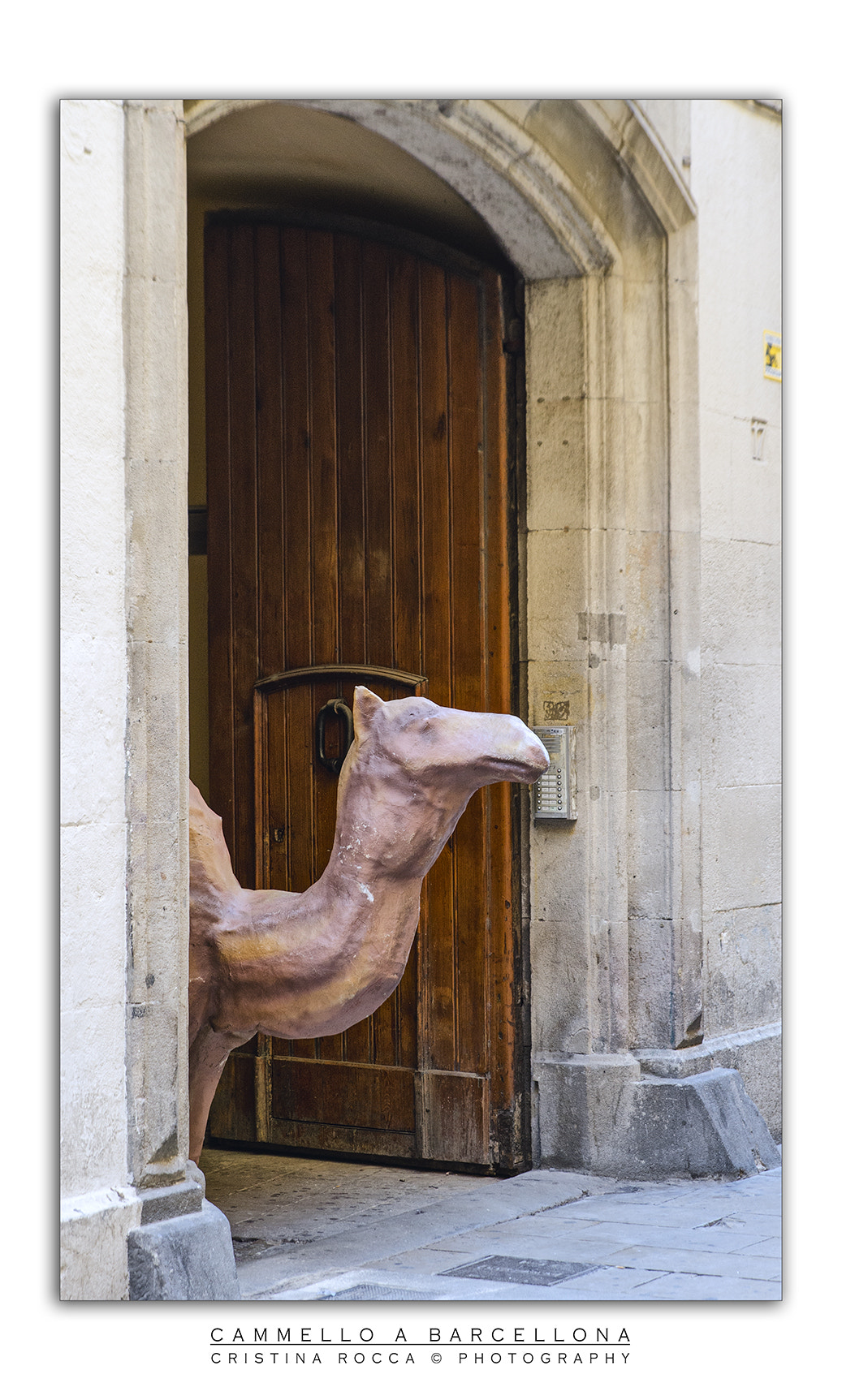Tamron SP 24-70mm F2.8 Di VC USD sample photo. Cammello a barcellona photography