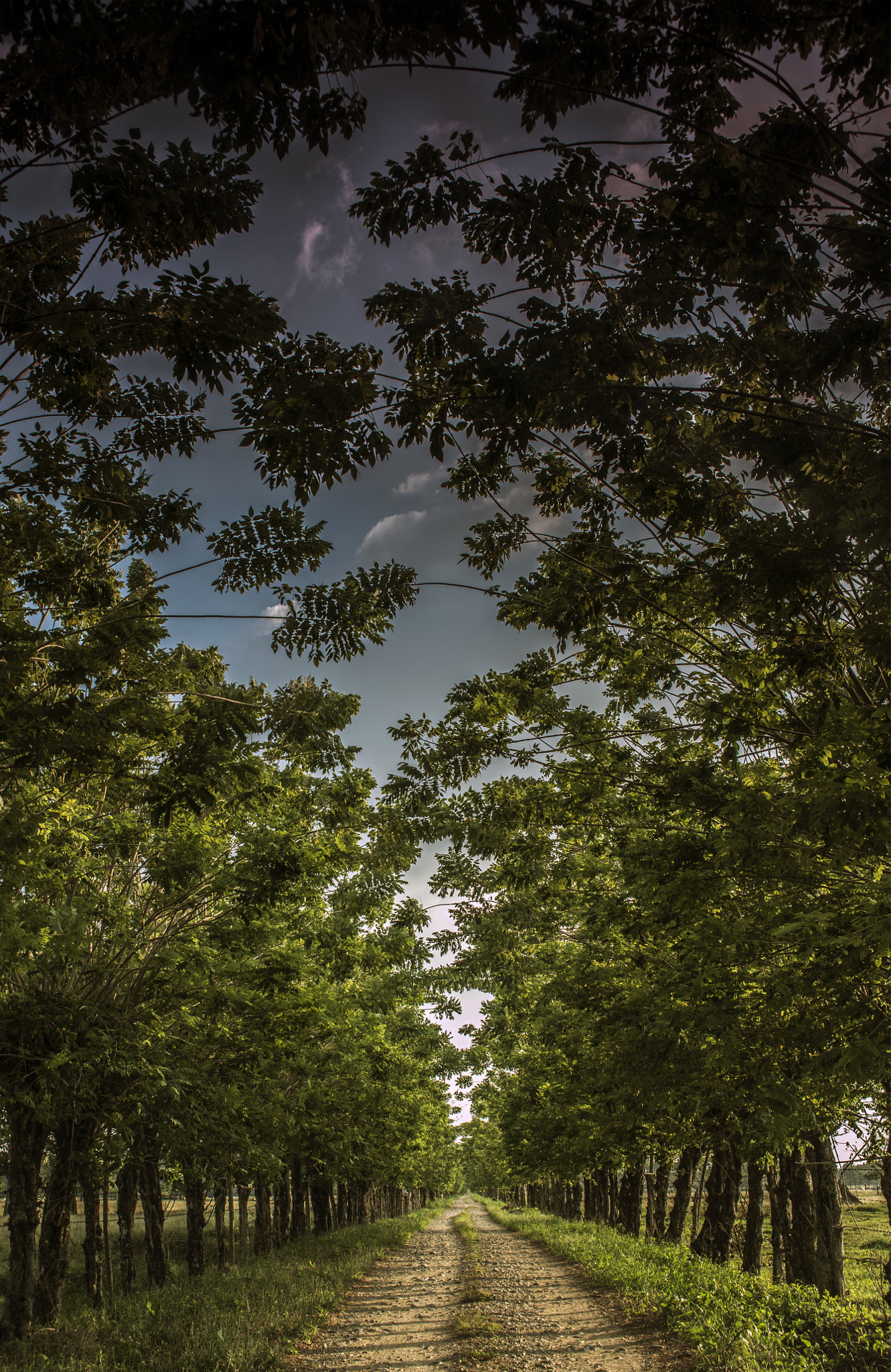 Nikon D800E sample photo. Bbb photography