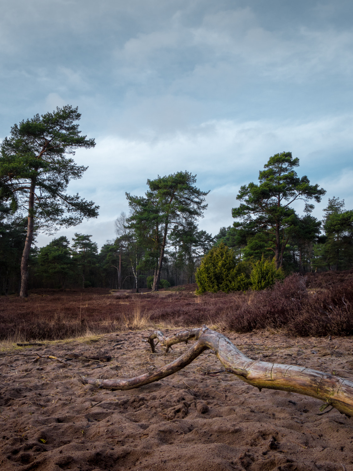 Panasonic Lumix DMC-GH4 sample photo