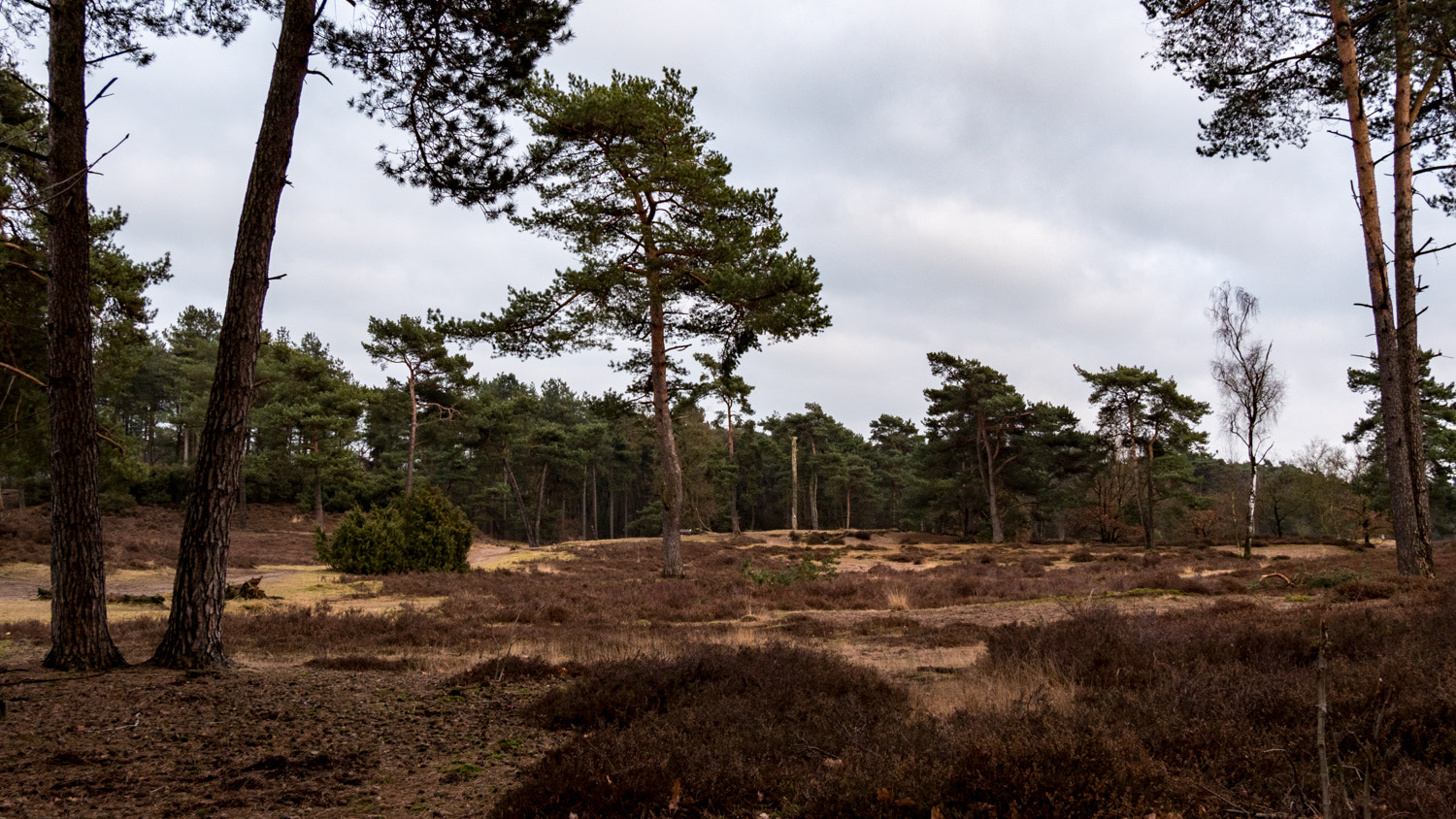 Panasonic Lumix DMC-GH4 sample photo