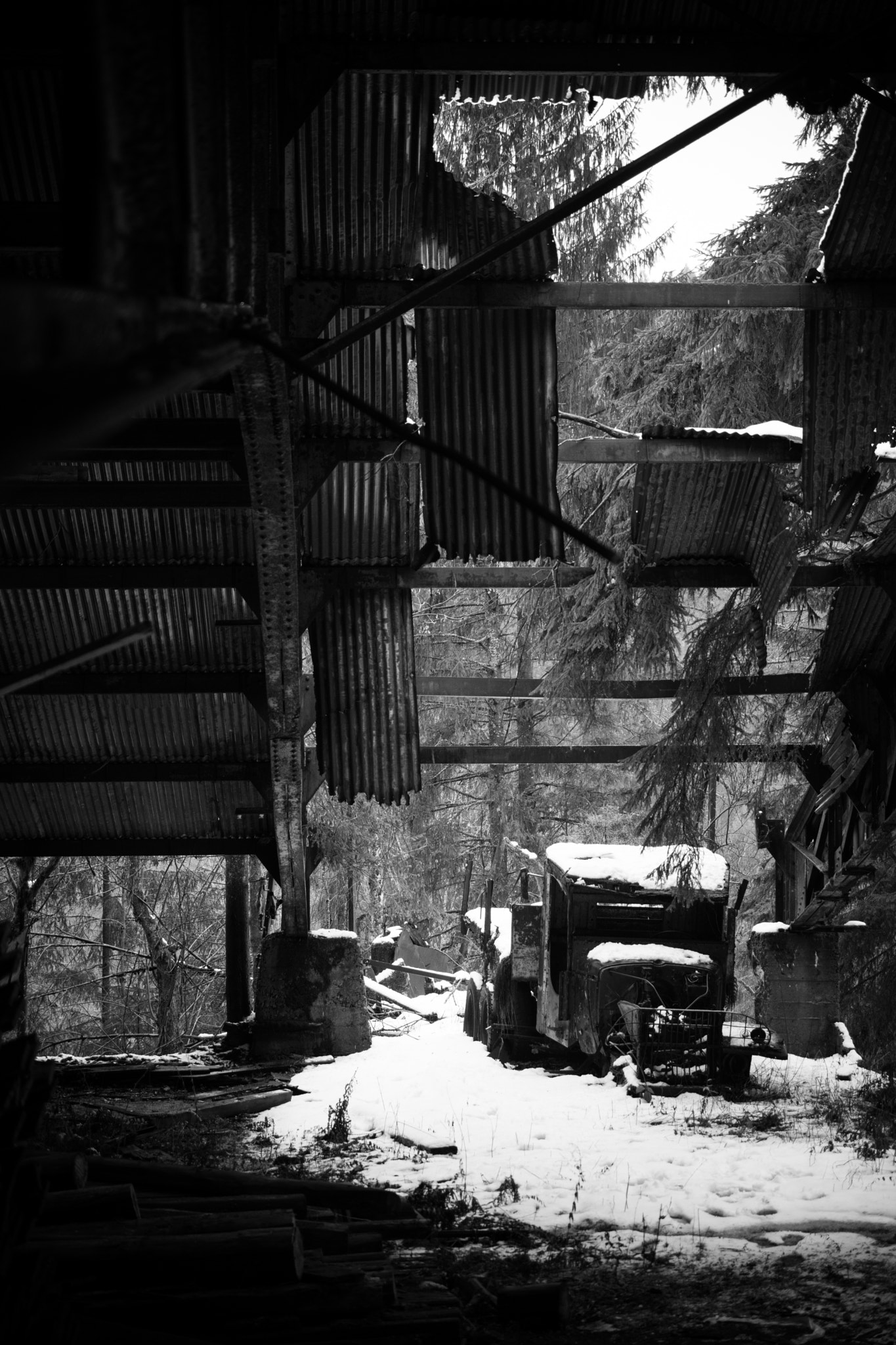 Nikon AF-S DX Micro Nikkor 40mm F2.8 sample photo. Old truck in the forest photography