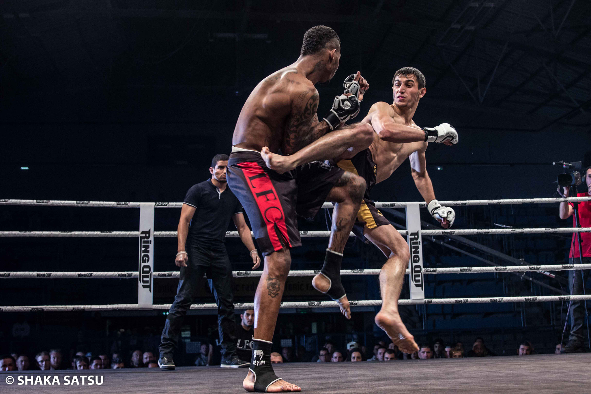 Canon EF 24-70mm F2.8L II USM sample photo. Flying back kick photography