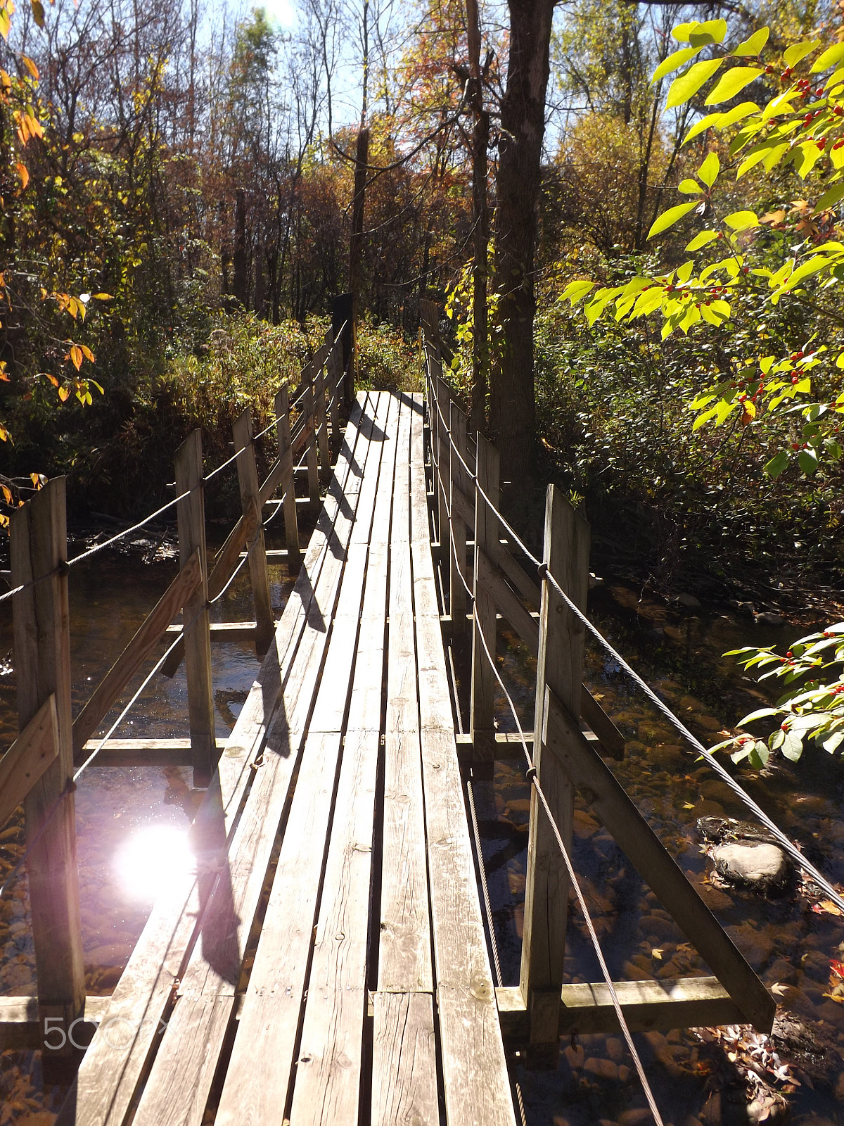 Fujifilm FinePix S4530 sample photo. South fork cass river footbridge photography