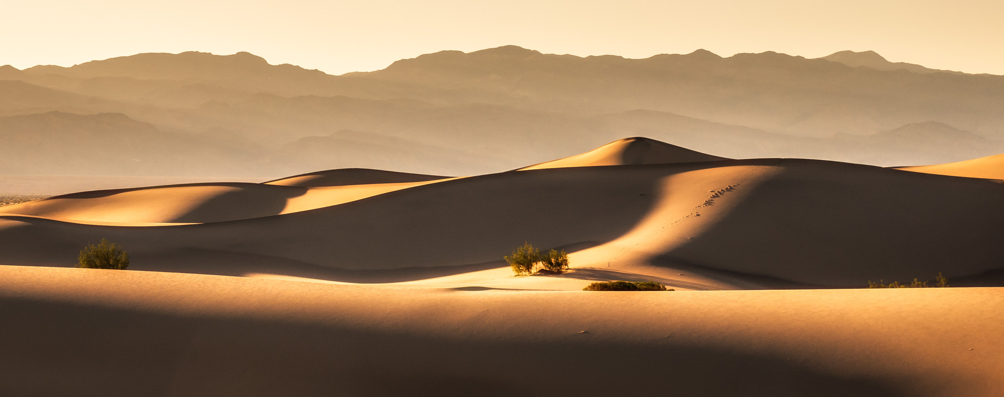 Olympus OM-D E-M10 II sample photo. Sand dunes photography