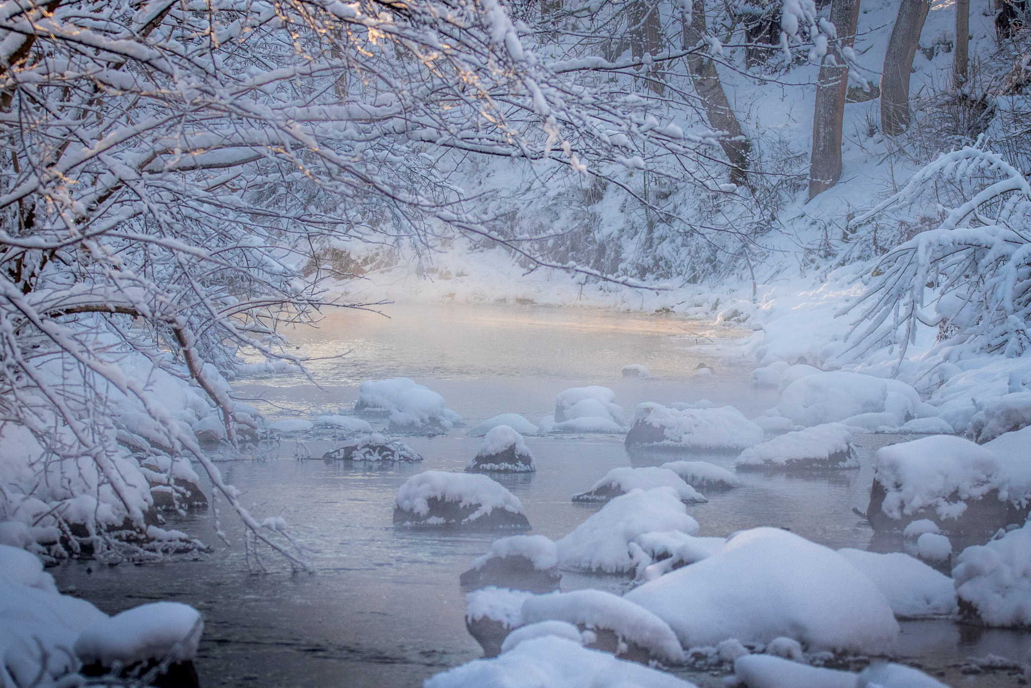 Sigma 150-600mm F5-6.3 DG OS HSM | C sample photo. Frozen photography