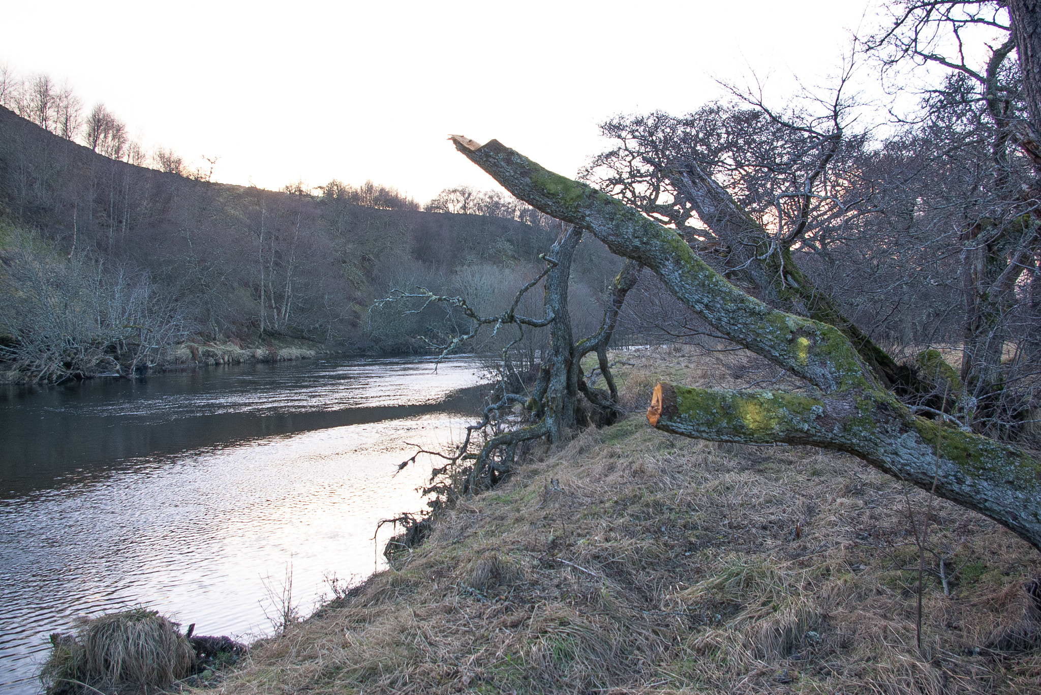 Pentax K100D sample photo. Winter storm damage photography