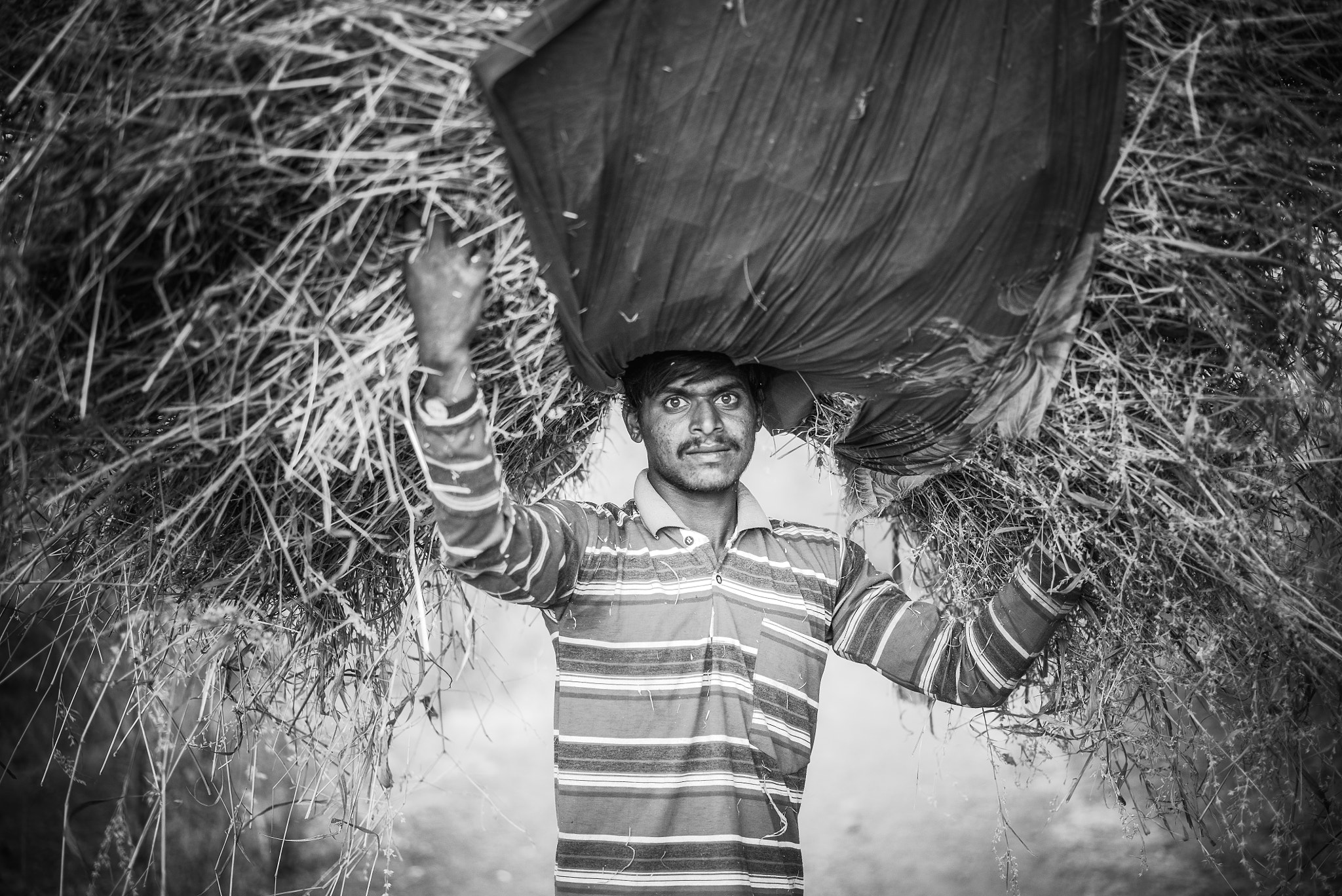 Sony a7S + Sony Sonnar T* FE 55mm F1.8 ZA sample photo. Young farmer photography