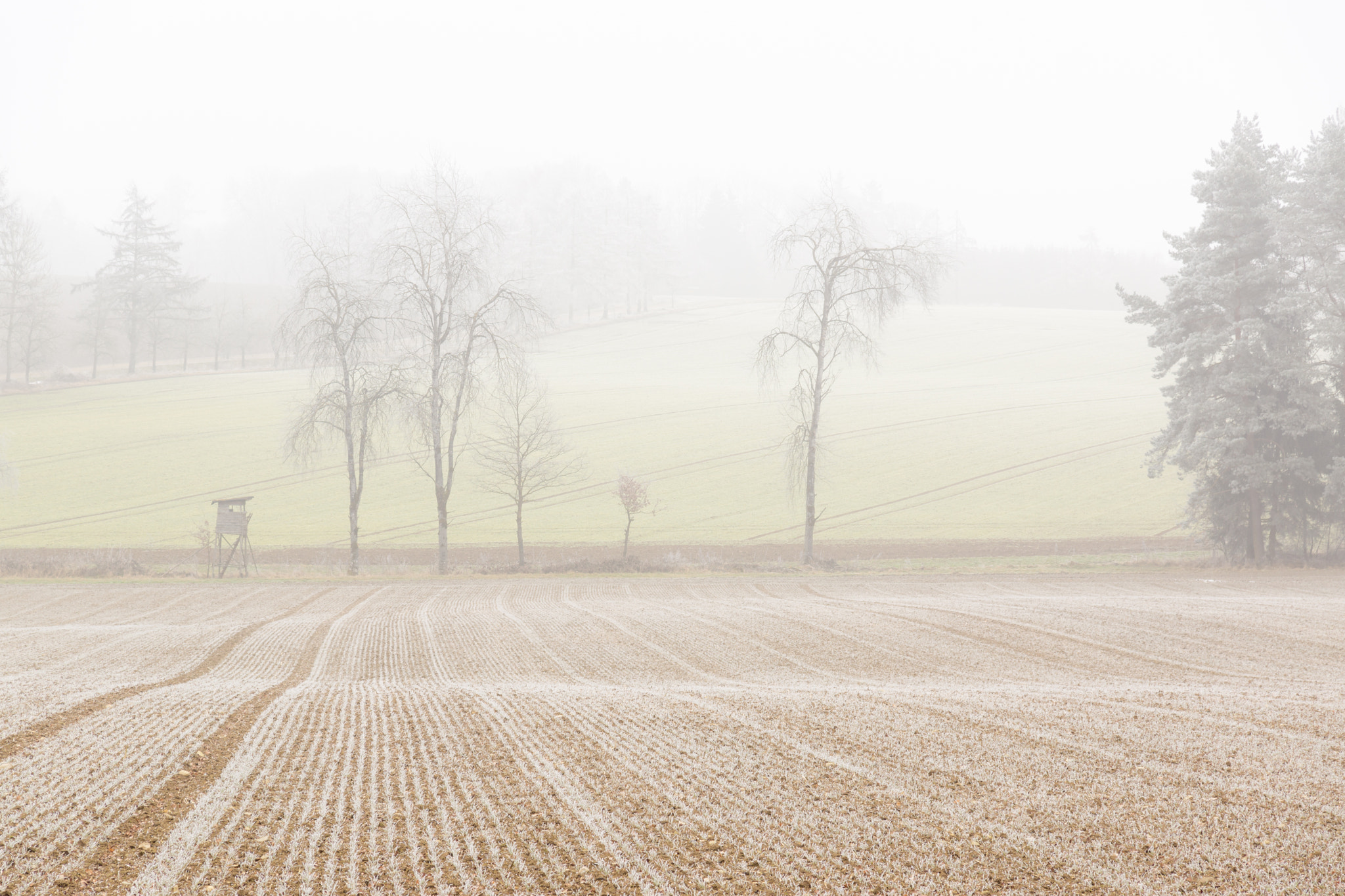 Sony SLT-A77 sample photo. Foggy afternoon photography