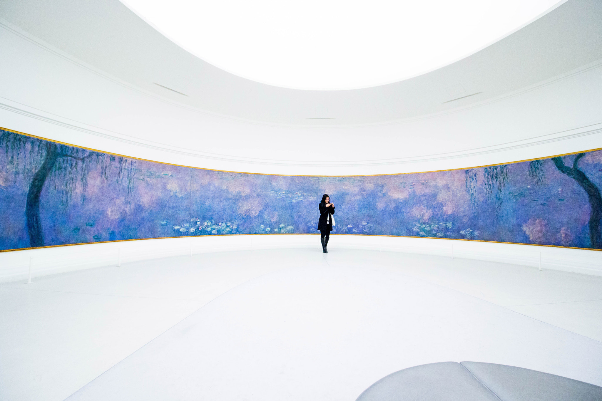 Canon EOS 700D (EOS Rebel T5i / EOS Kiss X7i) sample photo. Monet water lilies photography