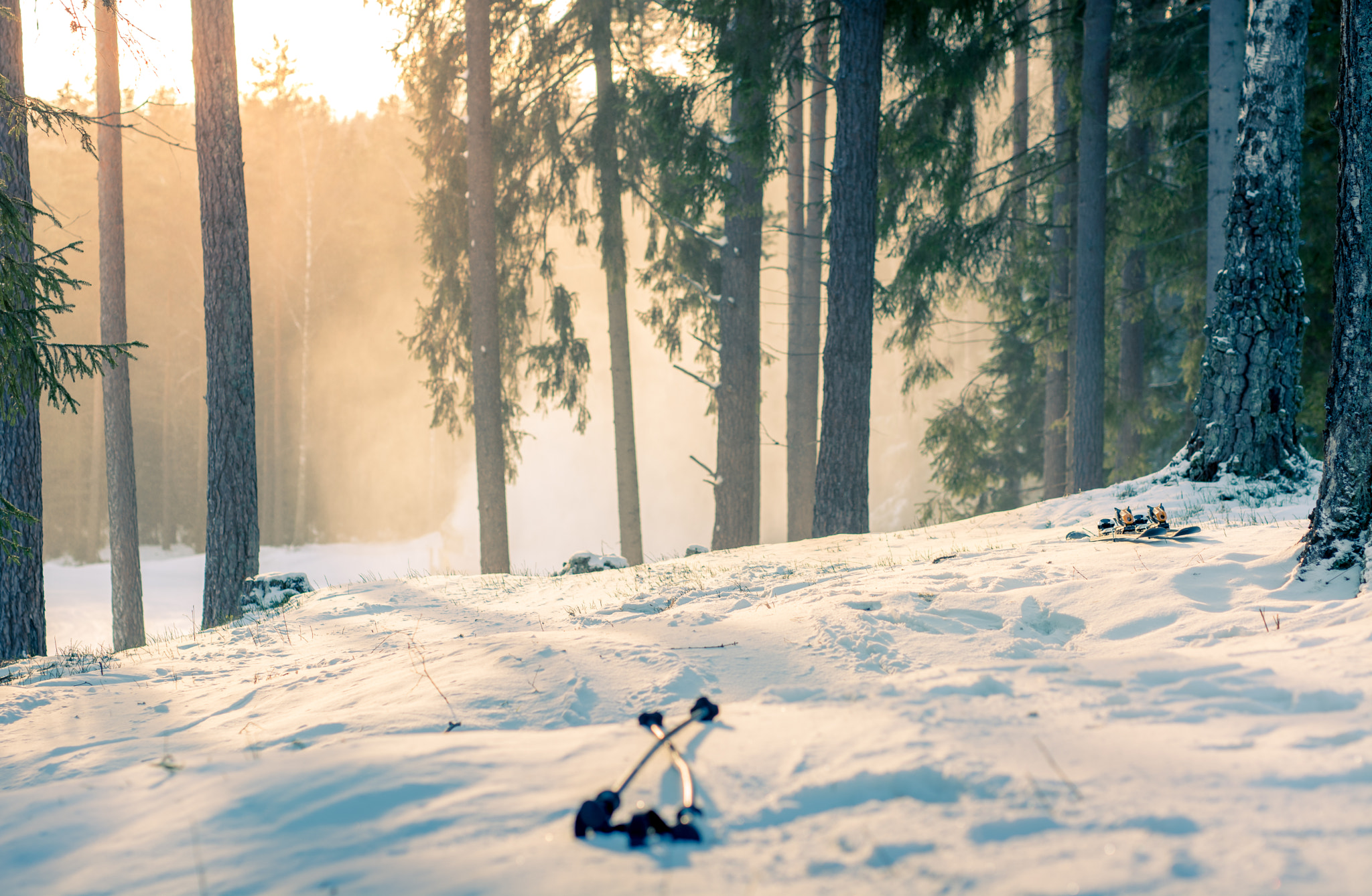 Nikon D5200 + Sigma 50mm F1.4 DG HSM Art sample photo. Mountain skis at sunset in snowy forest photography